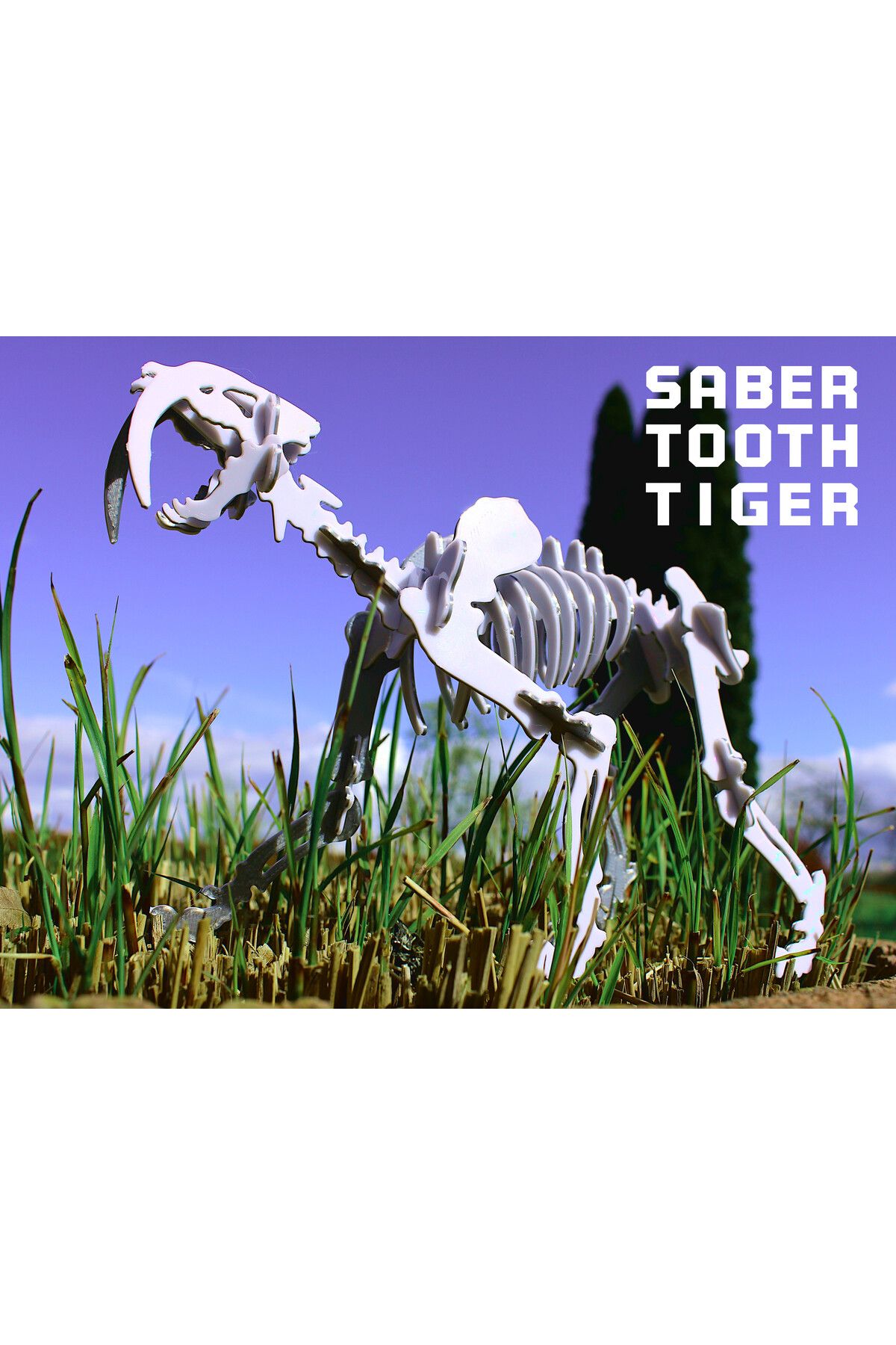 Vision Craft Sabertooth Tiger Smilodon iskeleti 3D Bulmaca Kiti Kartı