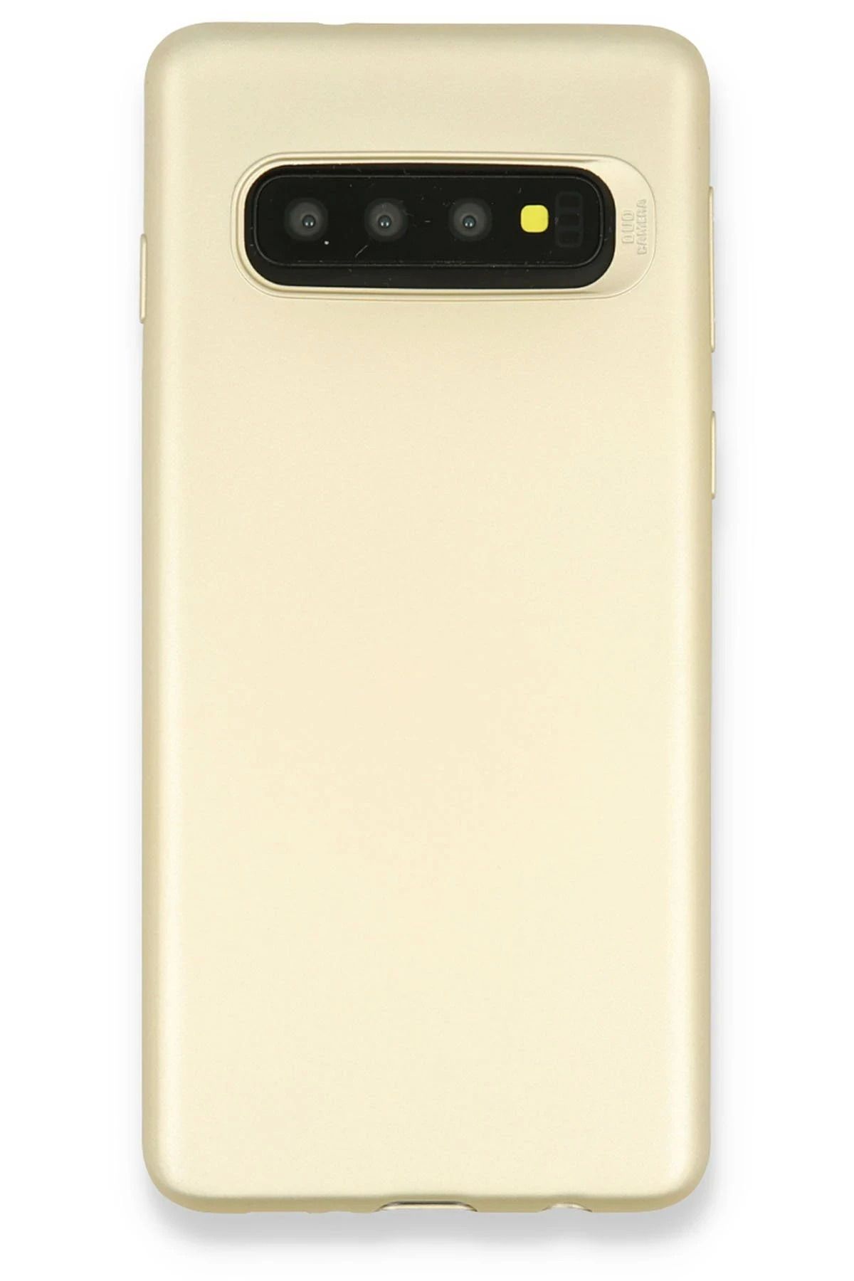 Vita Premio BFS Samsung Galaxy S10 Plus Kılıf First Silikon - Gold