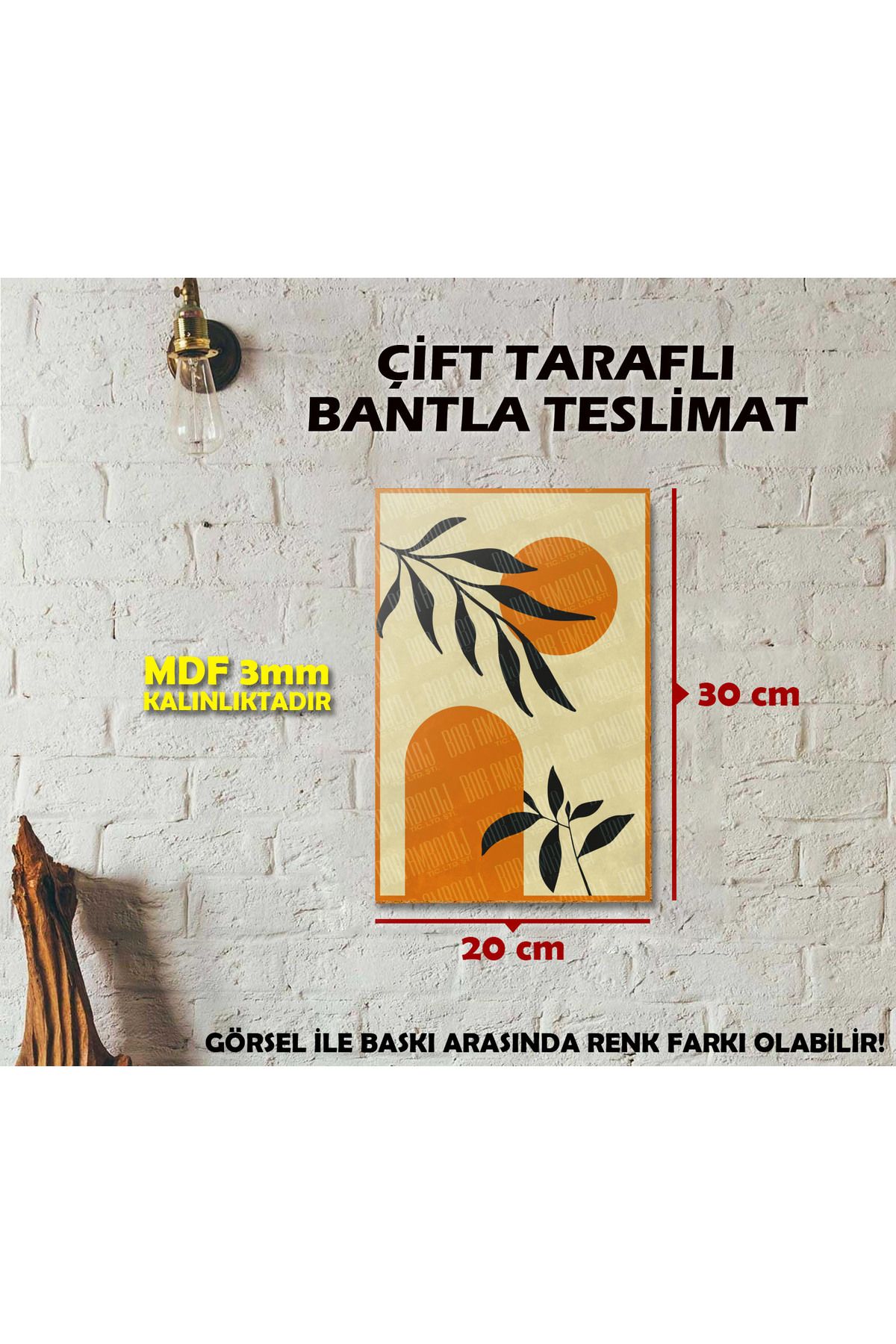 Borambalaj Renkli Temalı Çiçek İllustrasyonlu Tablo 20x30 cm