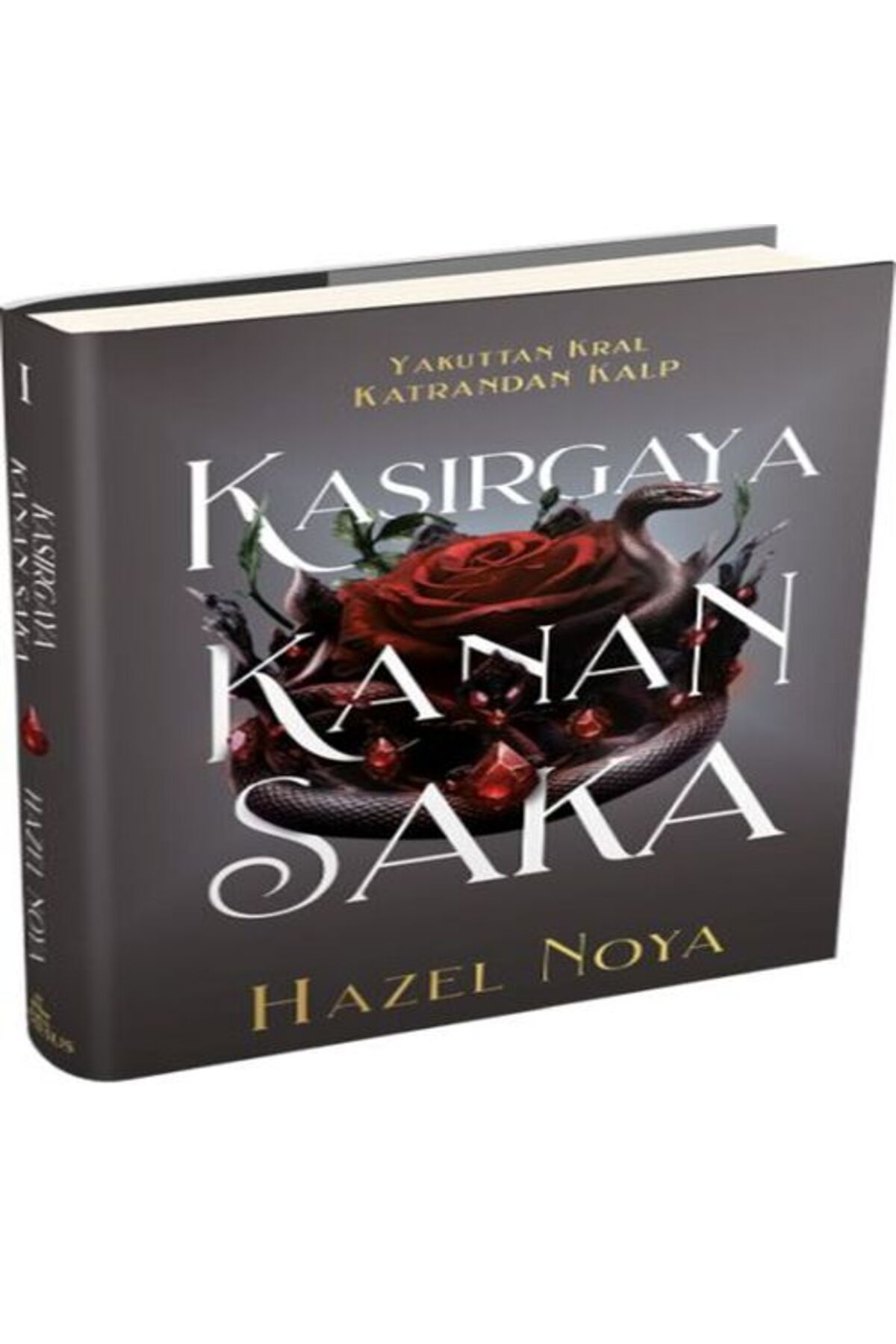 Karatay Yayınları Kasırgaya Kanan Saka 1 Ciltli