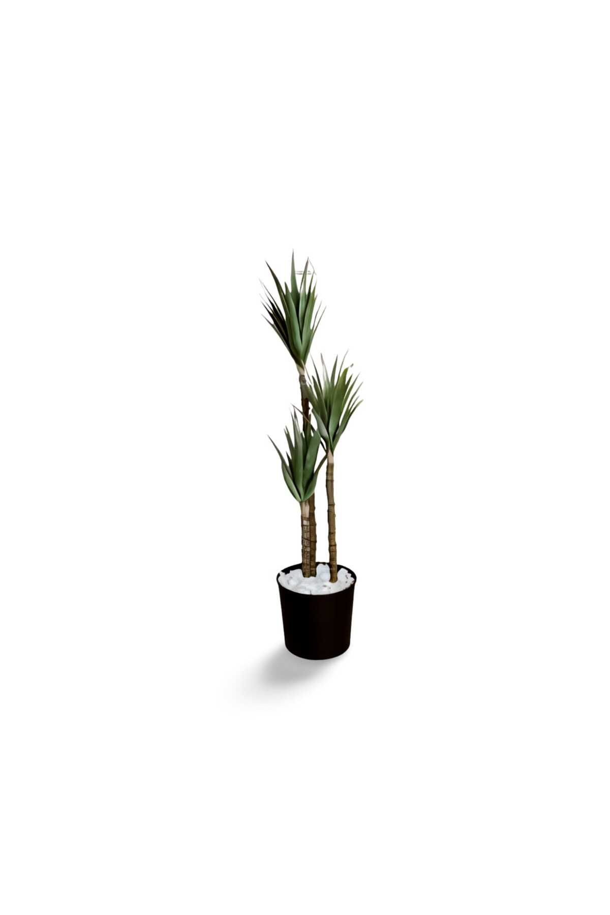 Nitro Furniture Yucca 3 lü 160 cm 19190 yapay ağaç