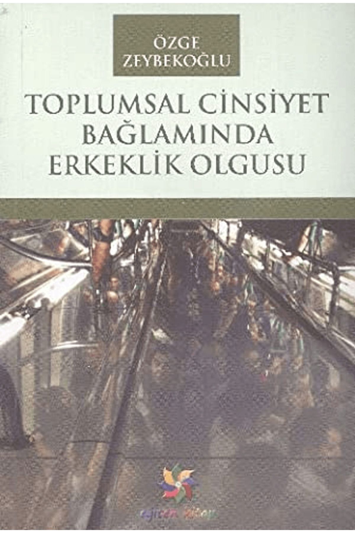 Eğiten Kitap Toplumsal Cinsiyet Bağlamında Erkeklik Olgusu