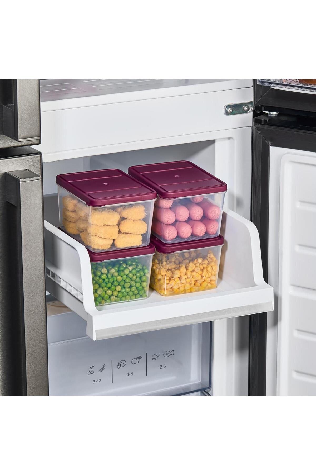 SELKA HOME-Selka Nora 4 Pieces Deep 1 Lt. Storage Container 3