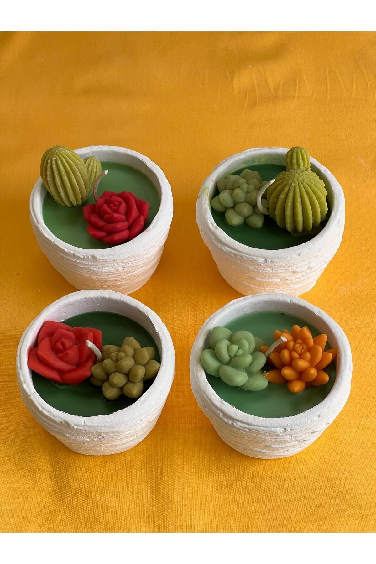 Elioure Renkli Soya Wax Saksıda Kaktüs Mum, Dekoratif ve Şık Tasarım