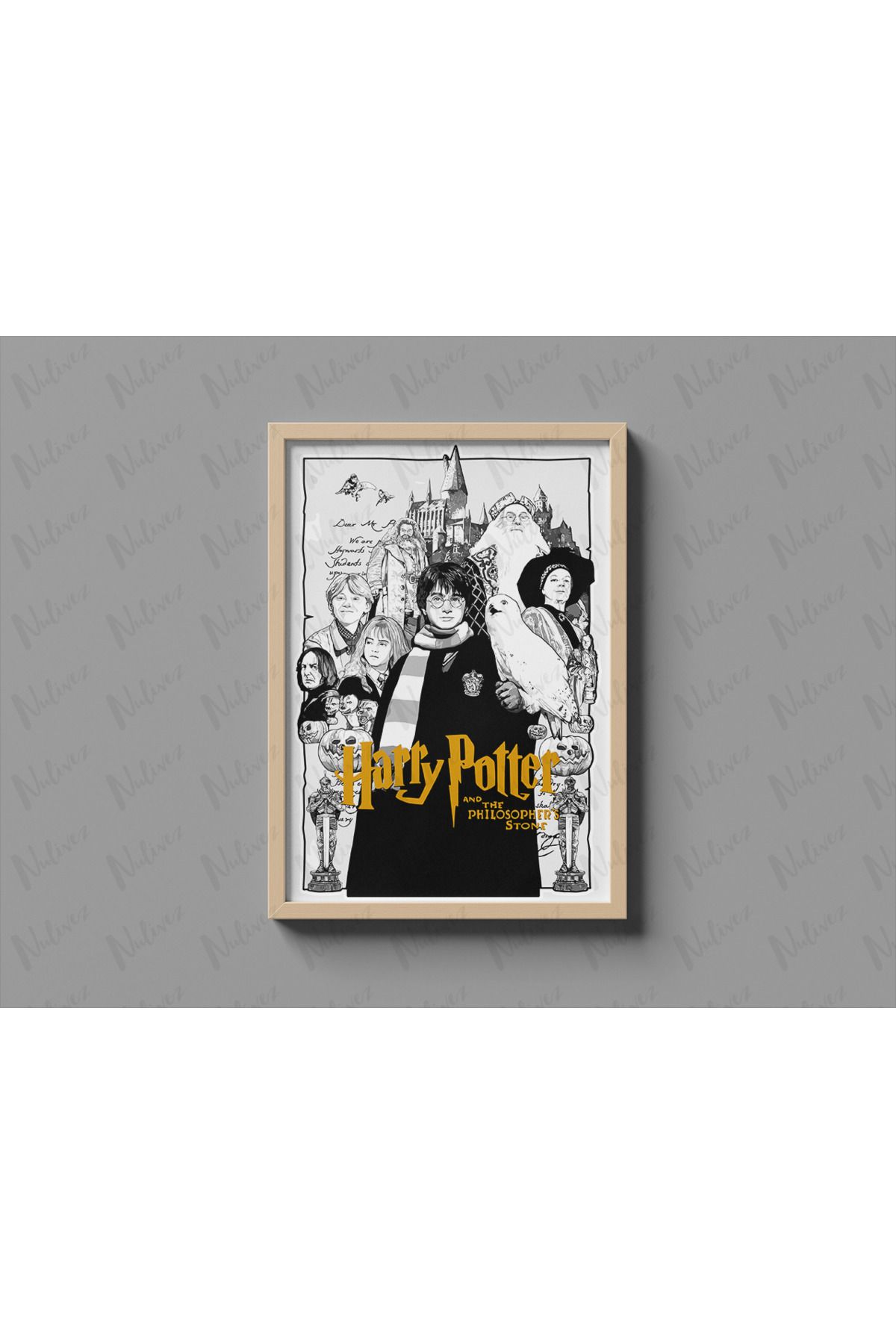 Nulivez Çerçeveli, Harry Potter Tasarımlı Dekoratif Tablo, 300 Micron Antireflecte Korumalı Tablo