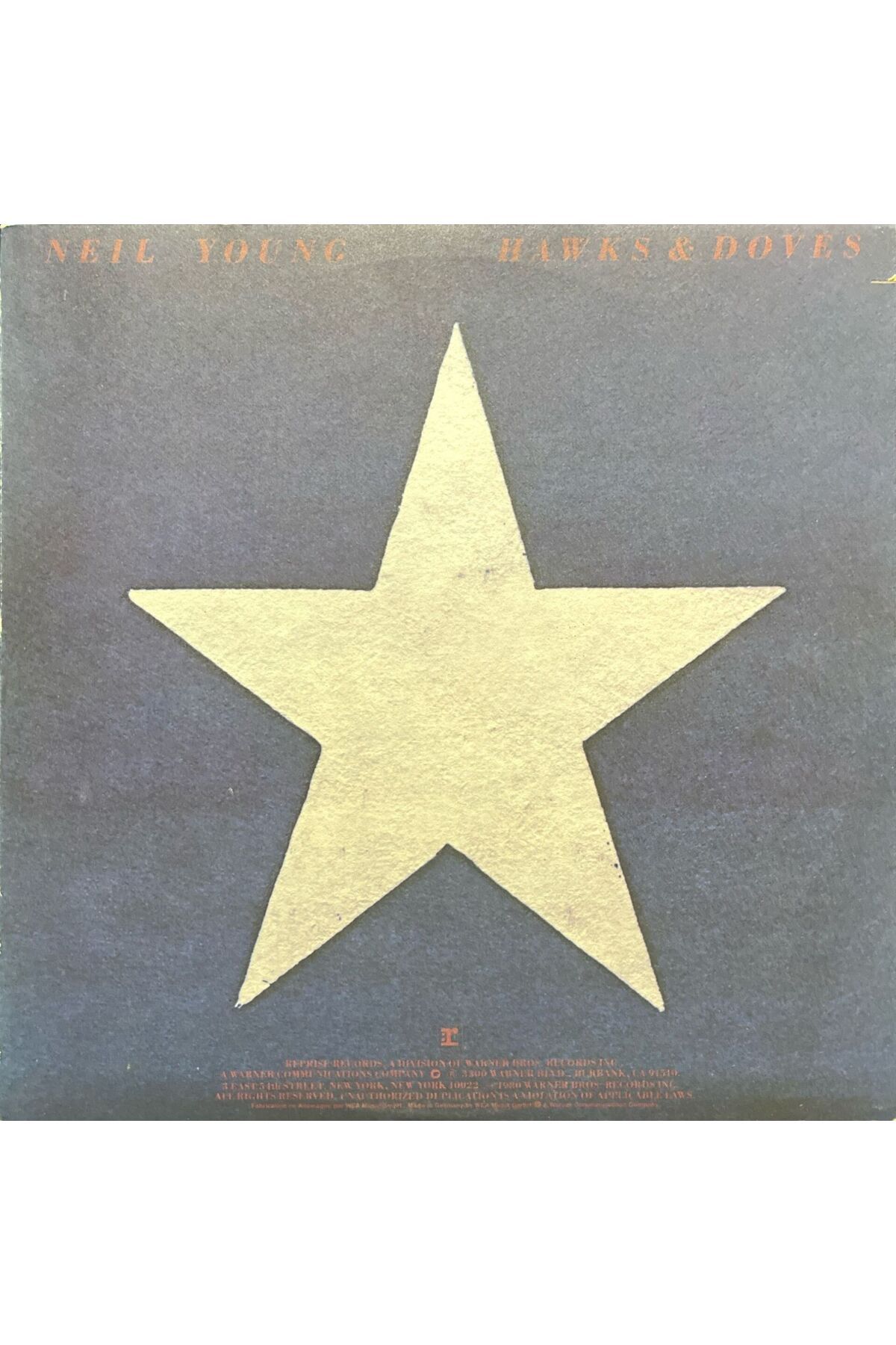 Plak İstasyonu Neil Young Hawks & Doves LP Plak