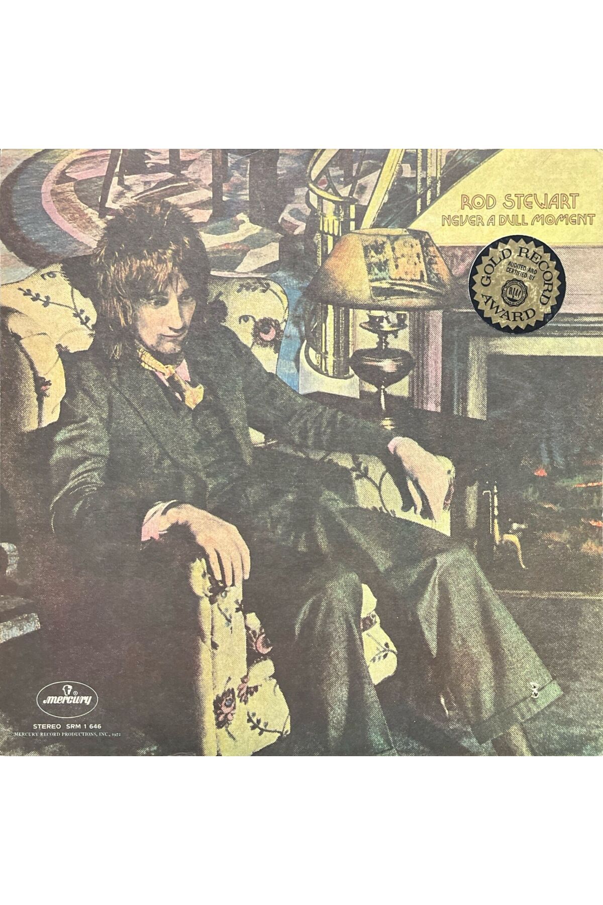 Plak İstasyonu Rod Stewart Never A Dull Moment LP Plak