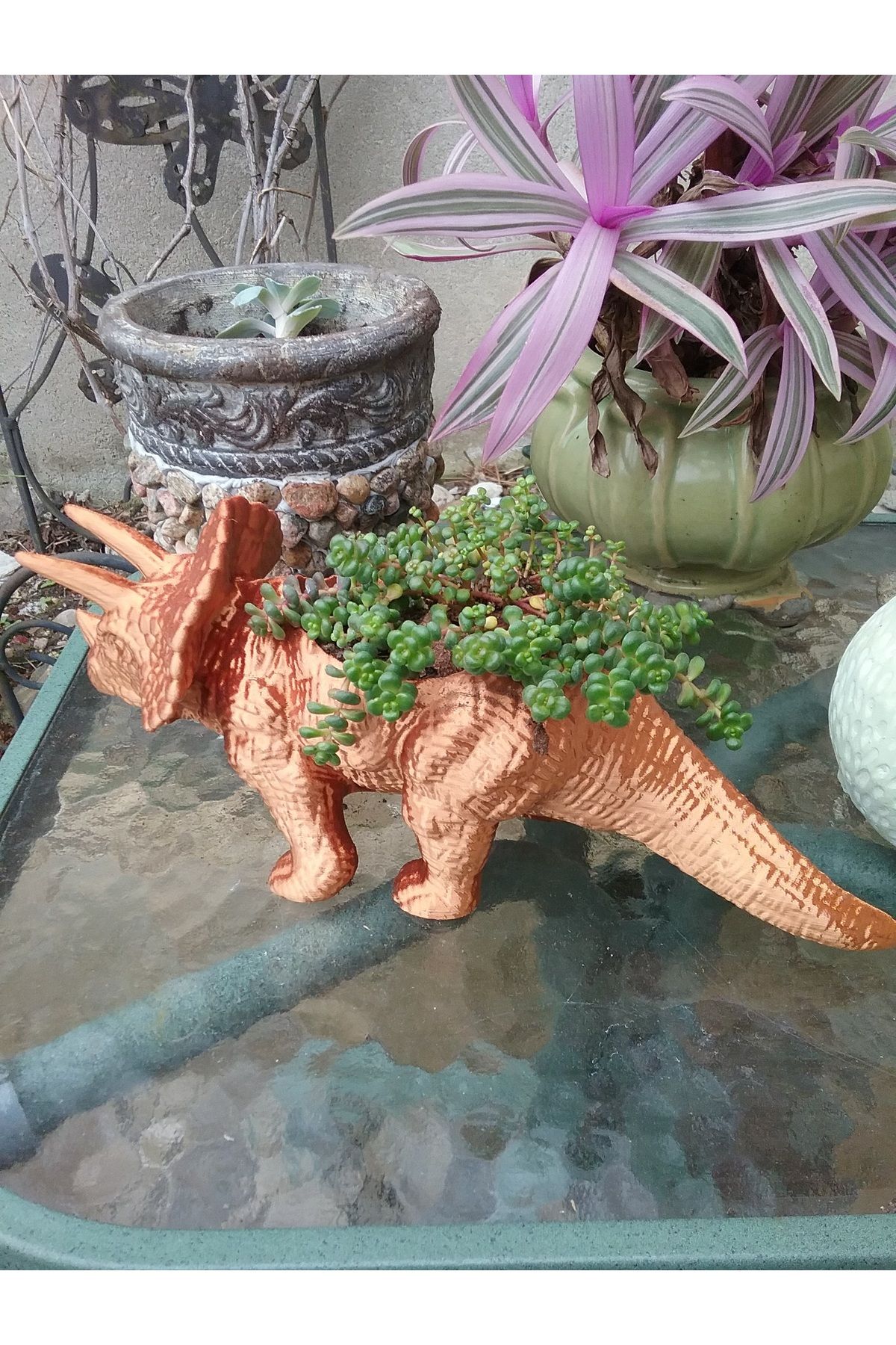 talaşoğlu Triceratops Ekici