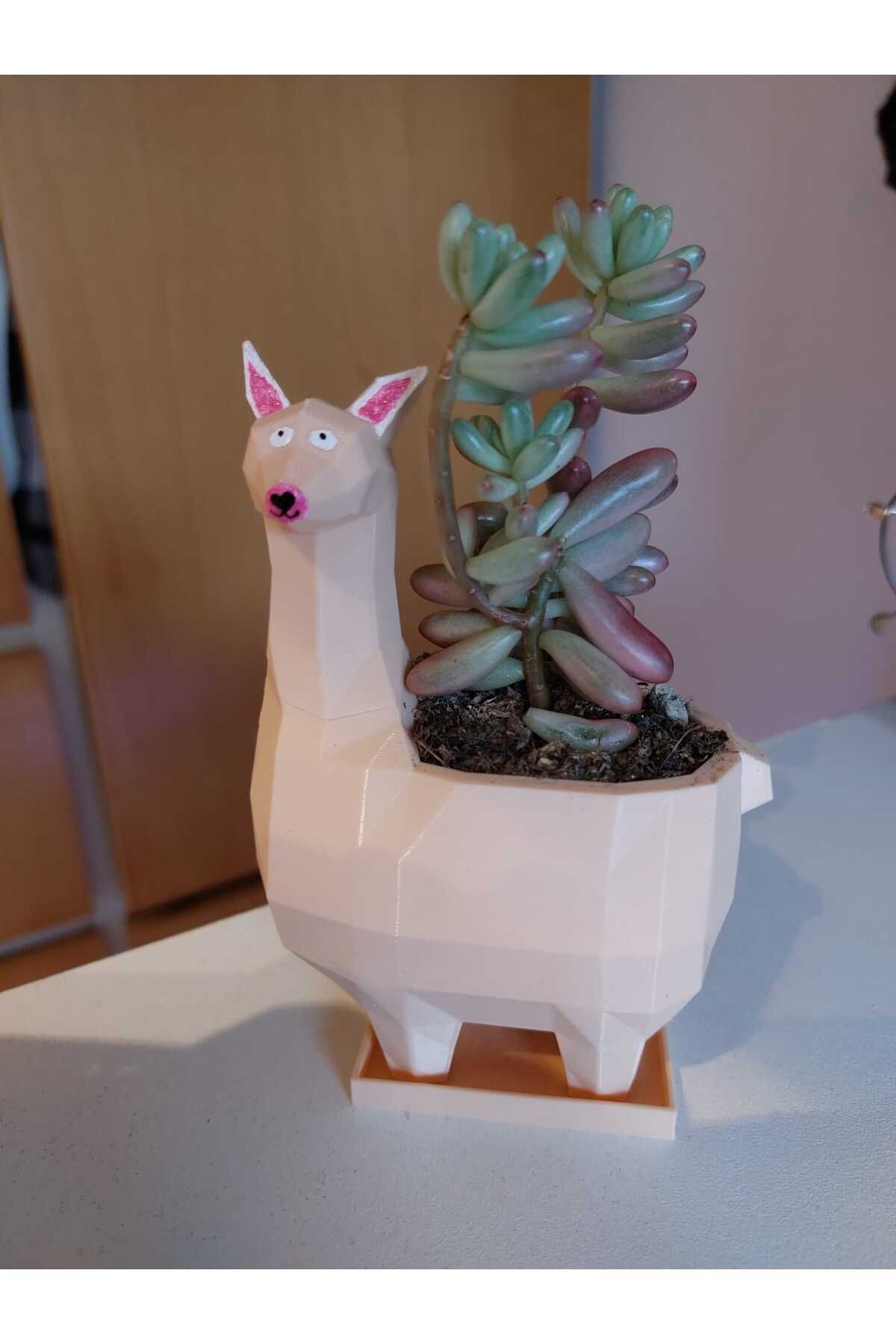 talaşoğlu Alpaca ekici tepsisi