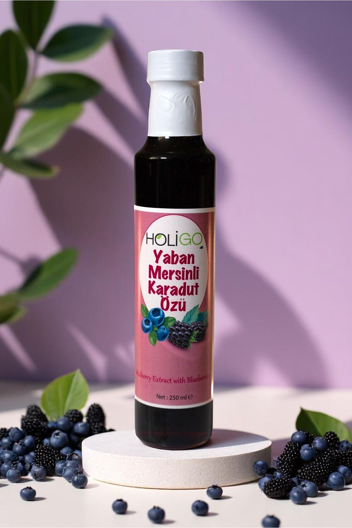 HOLİGO Yaban Mersinli Karadut özü 250ml