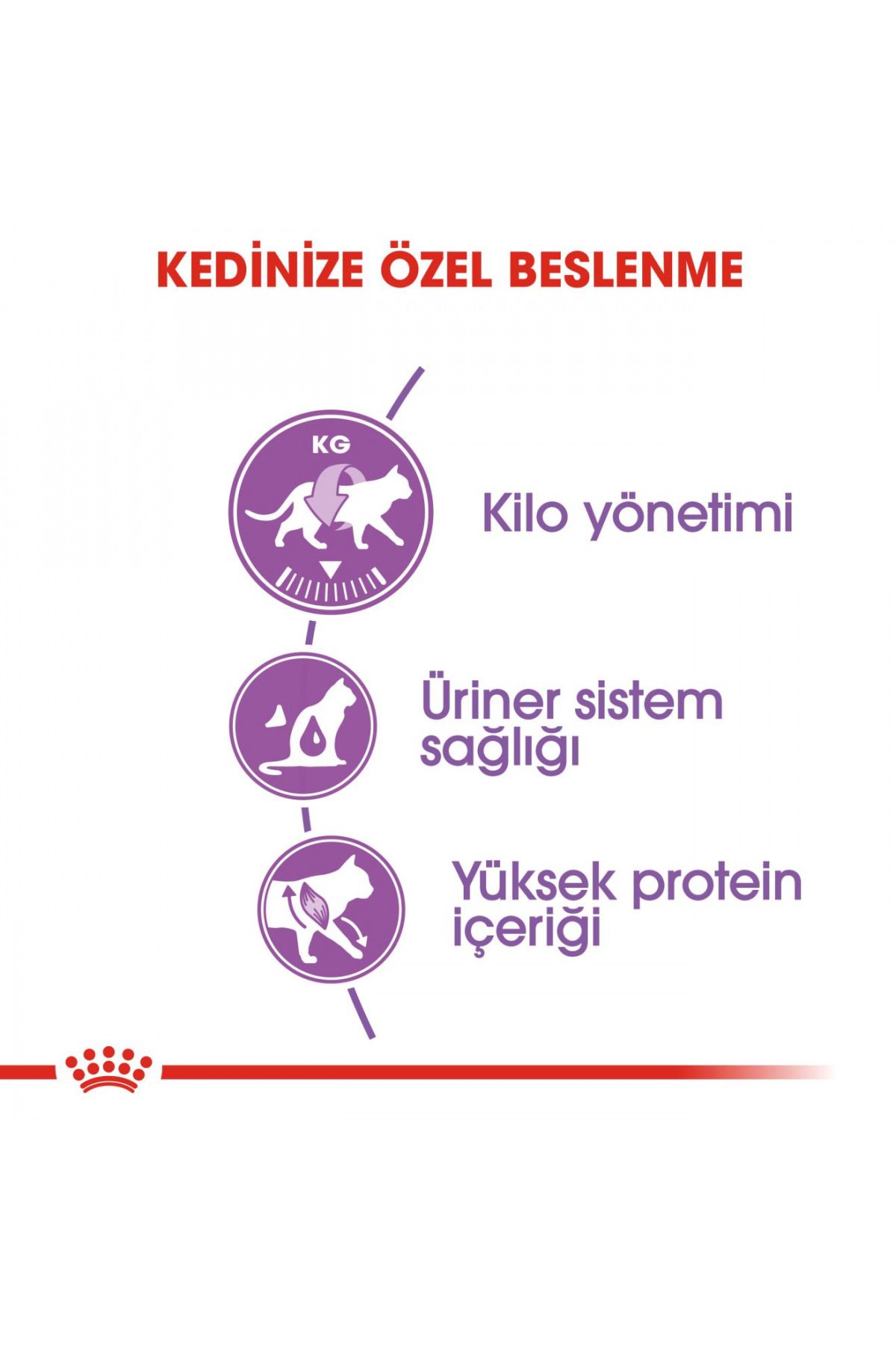 Royal Canin-Sterilized Bite Cat Food 400 gr 4