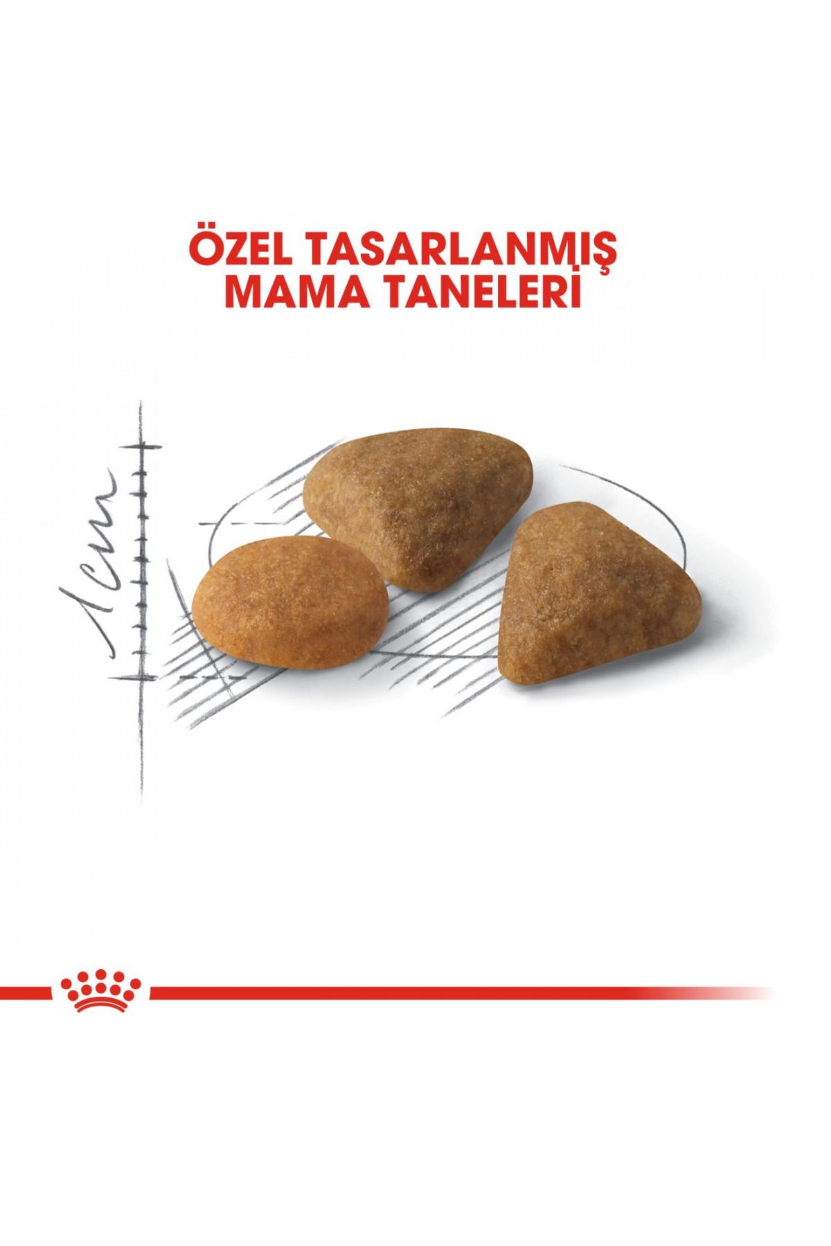 Royal Canin-Exigent Seçici Kediler Için Kuru Kedi Maması 10kg 5