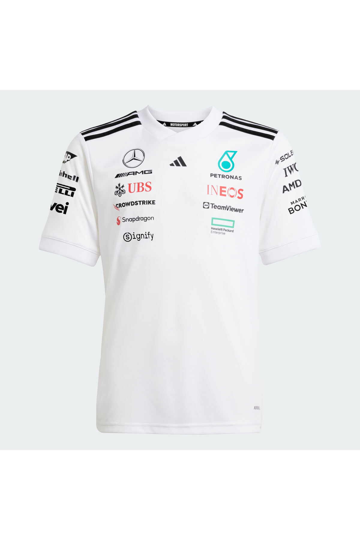 MERCEDES - AMG PETRONAS FORMULA ONE TEAM PİLOT FORMASI