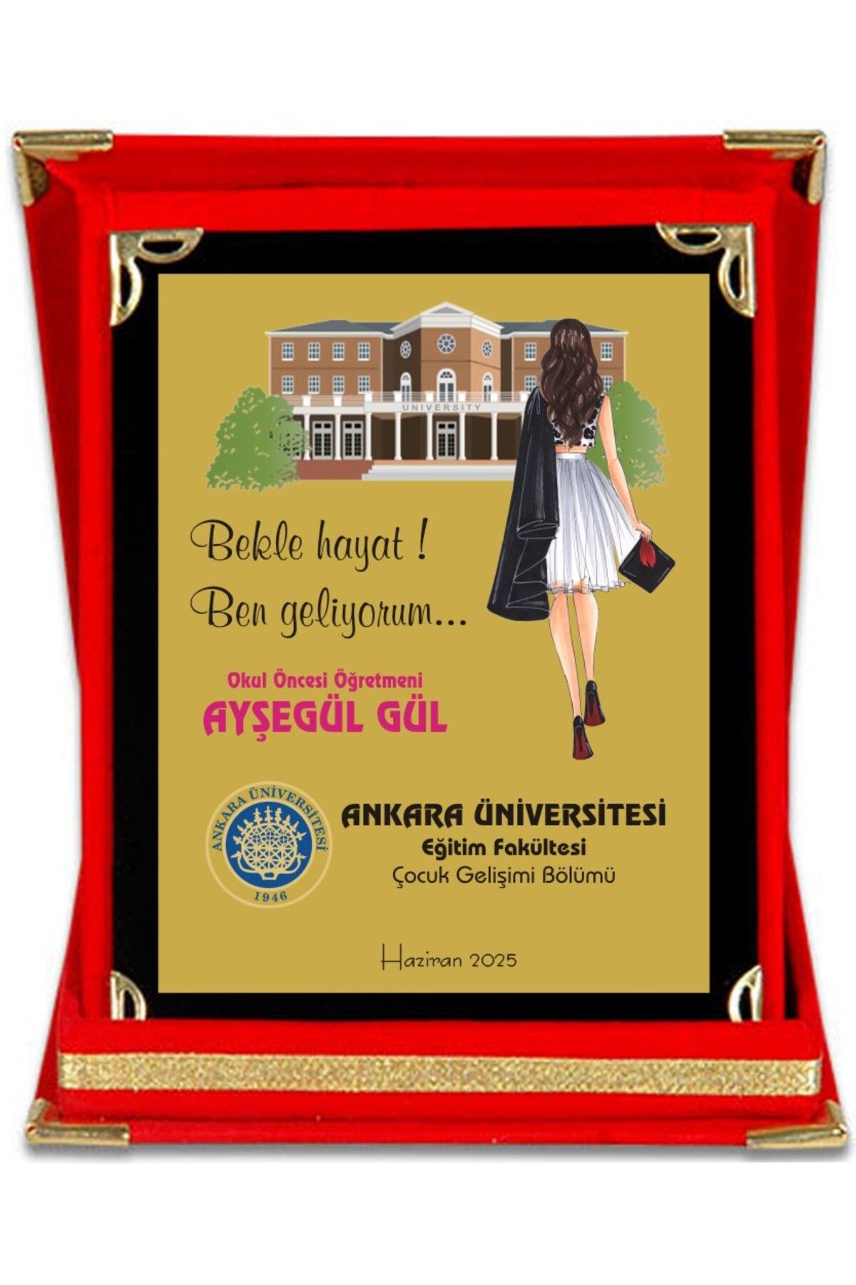 SimArt Design Üniversite Mezuniyet Plaketi -kişiselleştirilebilir isime özel Orta Boy TRPL1061