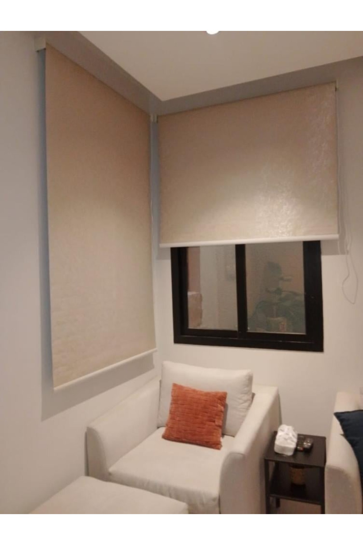 DEC4-Tree roller blinds add a touch of elegance and privacy 5