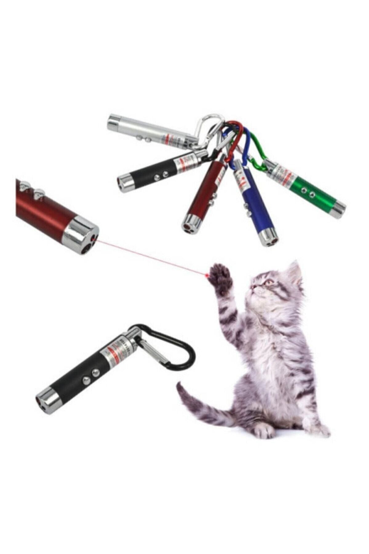 teknotrust Kırmızı Laser Kedi Oyuncakları ile Eğlence Dolu Anlar