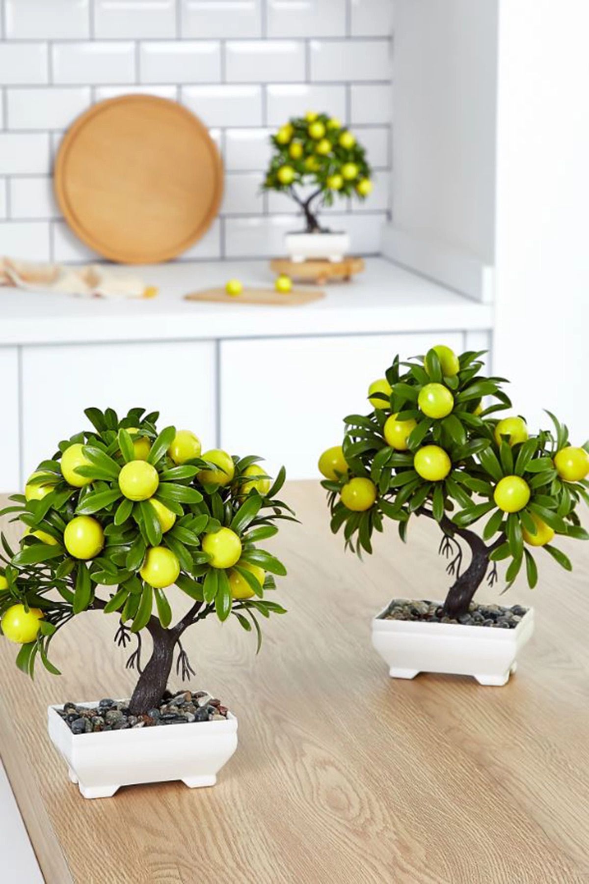 Wodsco KRD SAKSILI LIMON AGACI