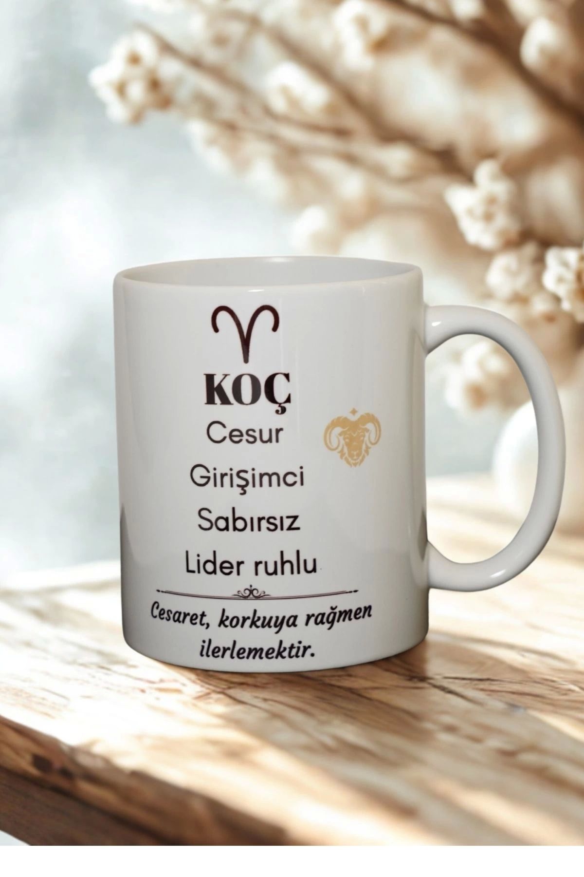 Ahinur Mutfak Koç Burcu Temalı Burç Bardağı Kupa
