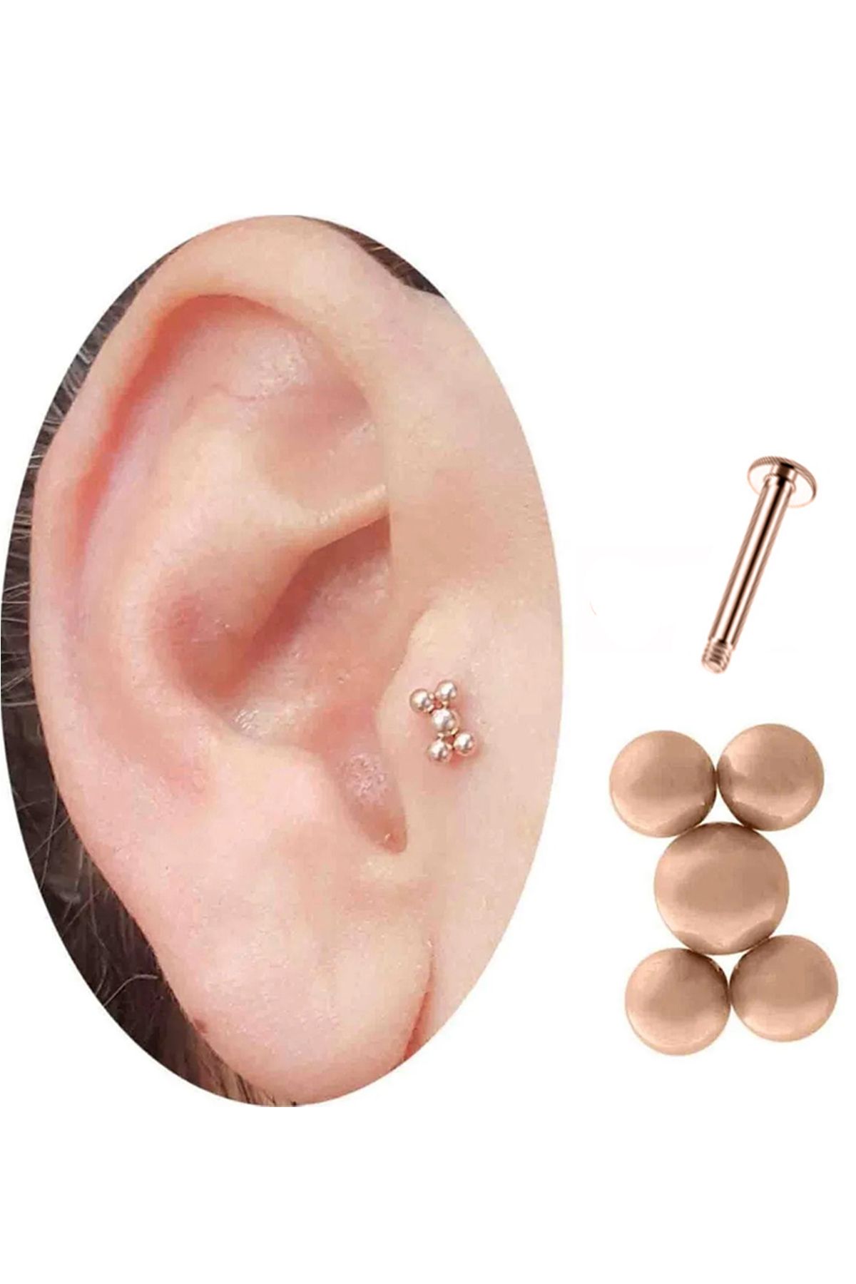 Cadının Dükkanı Beş Top Rose Çelik Tragus Helix Kıkırdak Piercing