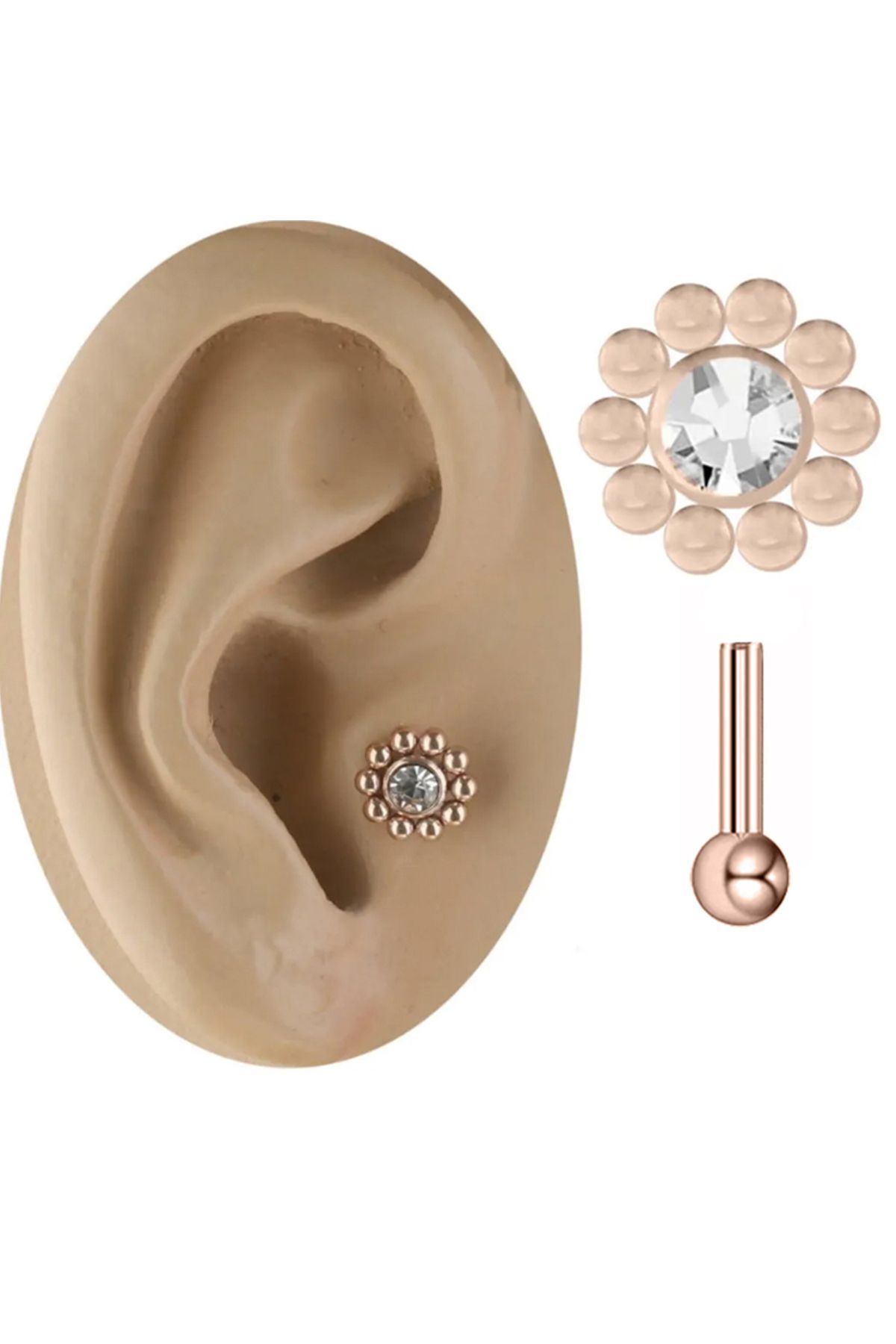 Cadının Dükkanı Taşlı Çiçek Rose Çelik Tragus Helix Kıkırdak Piercing