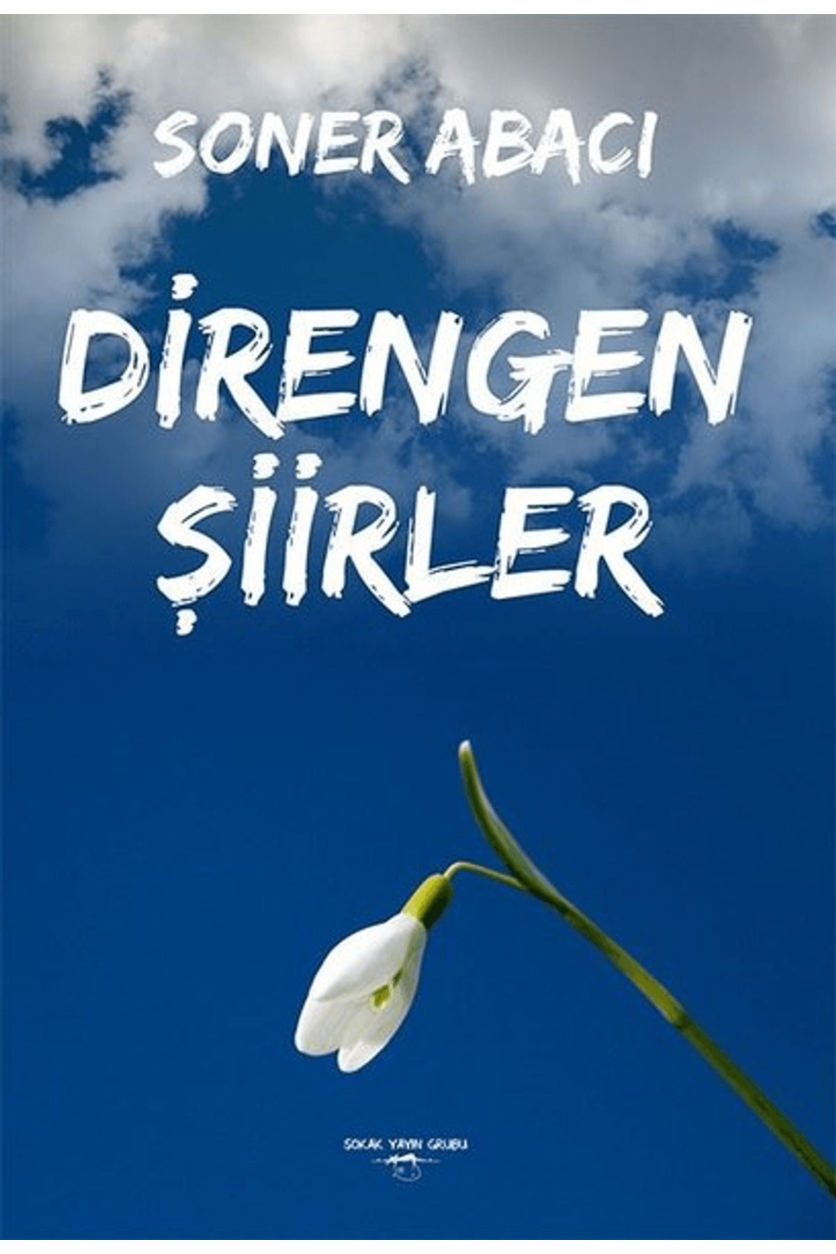 Sokak Kitapları Yayınları Direngen Şiirler