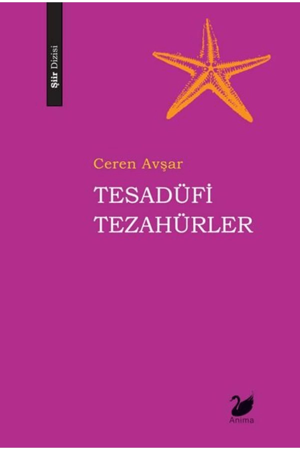 Anima Yayınları Tesadüfi Tezahürler