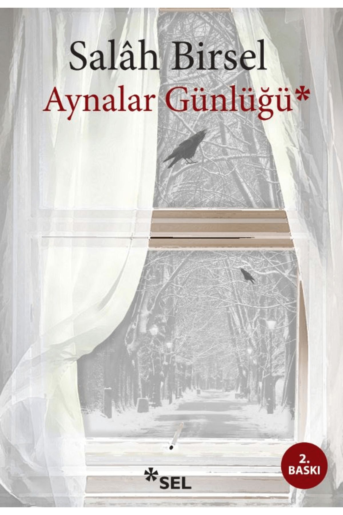 Sel Yayıncılık Aynalar Günlüğü