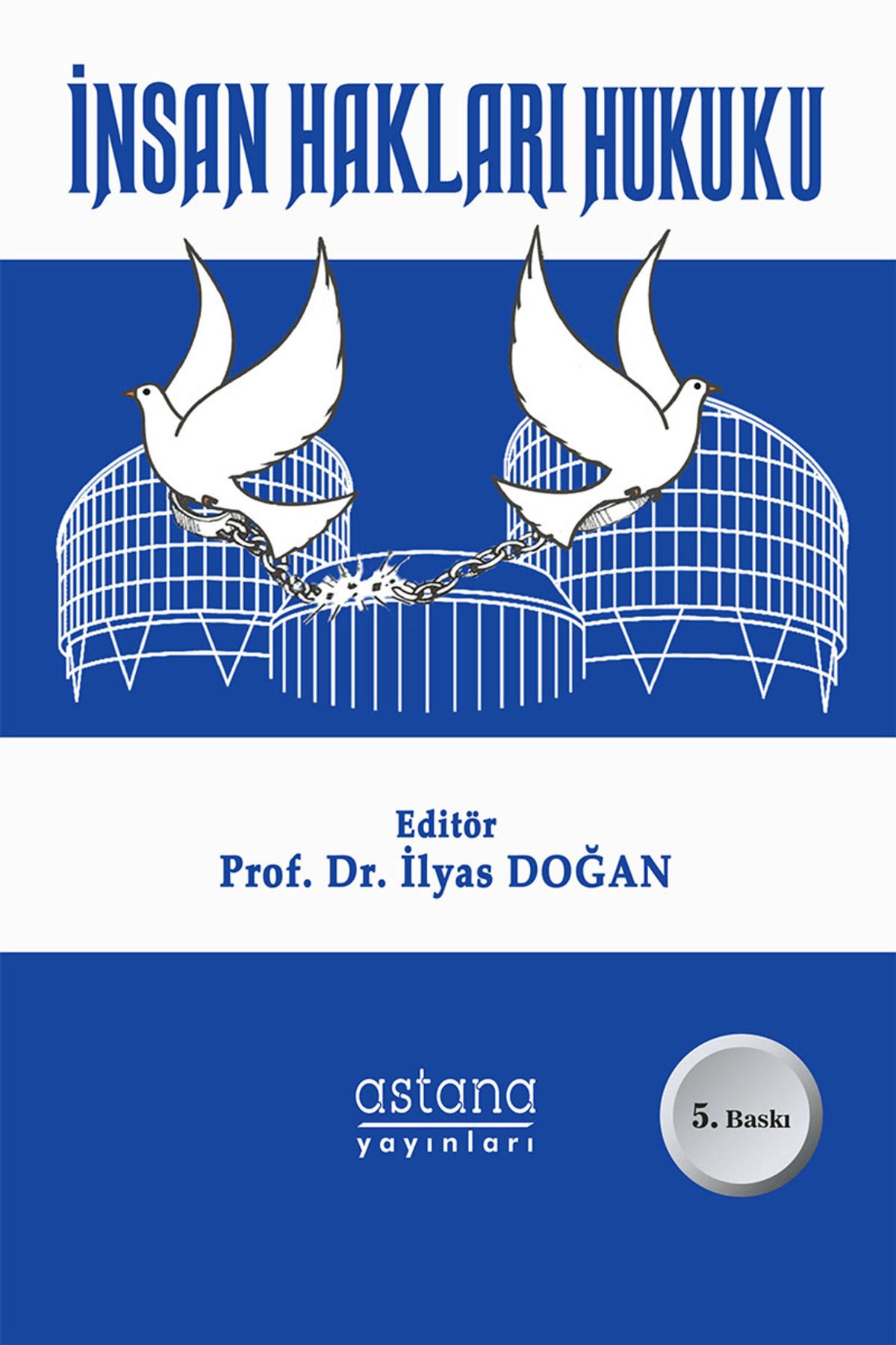 Astana Yayınları İnsan Hakları Hukuku