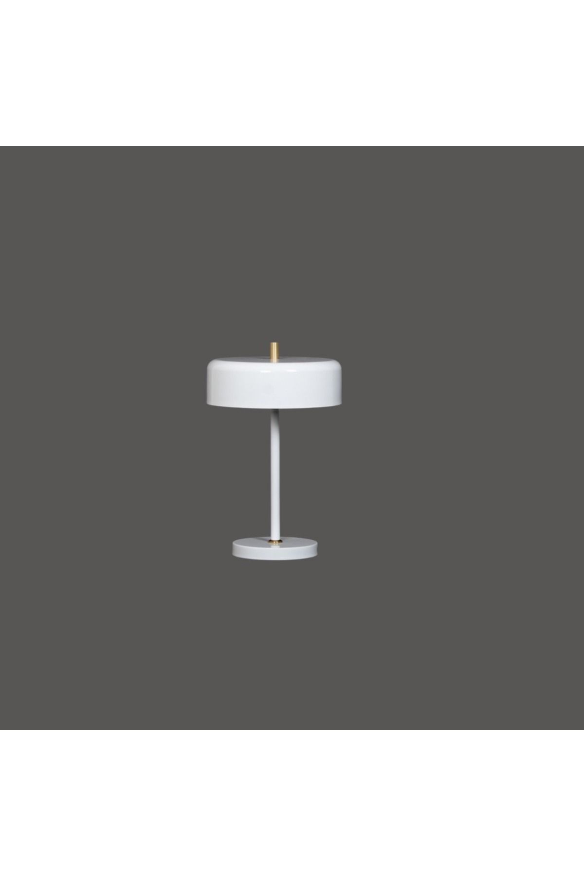 DEC13-Modern and elegant design table lamp 1