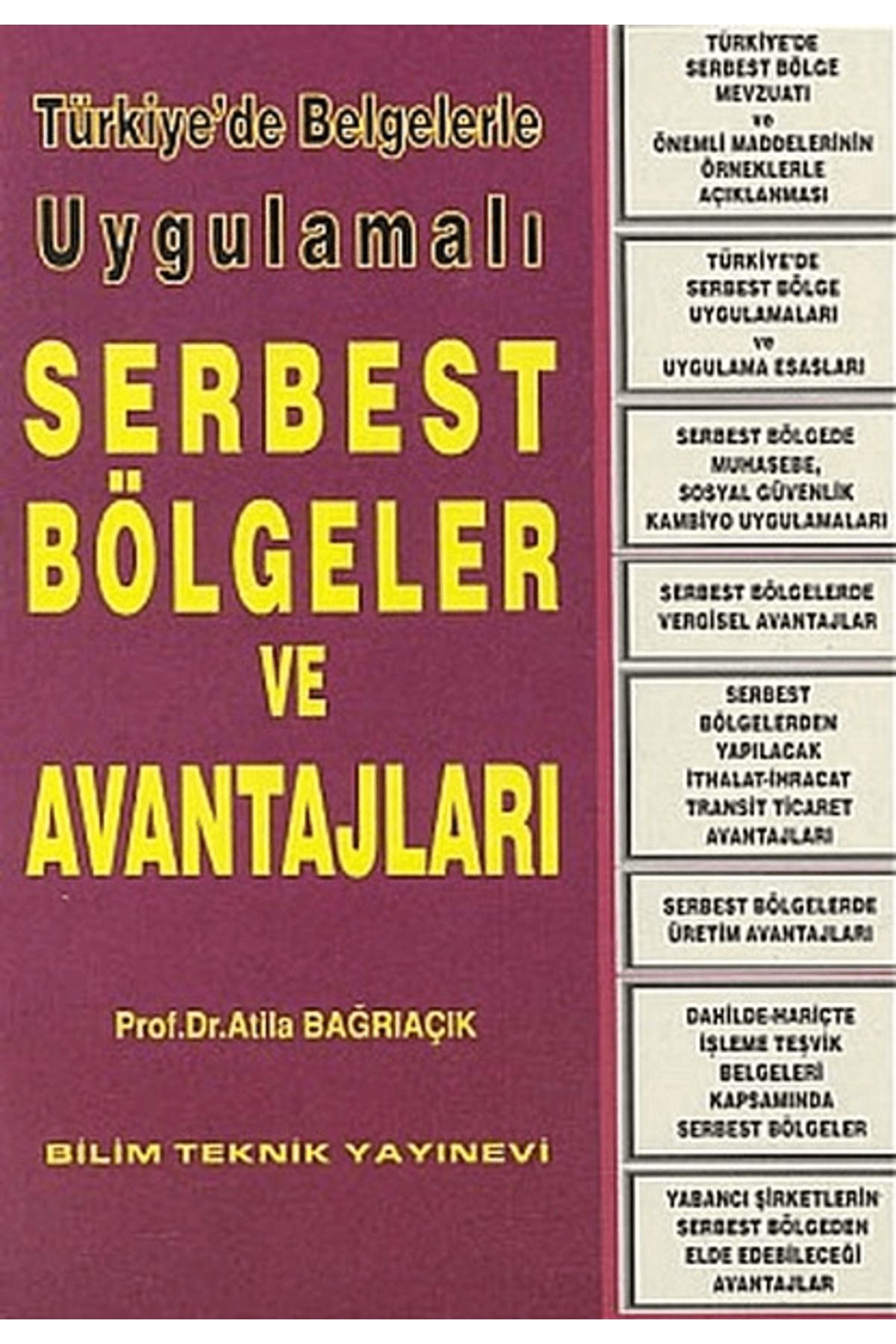 Bilim Teknik Yayınevi Türkiye’de Belgelerle Uygulamalı Serbest Bölgeler ve Avantajları