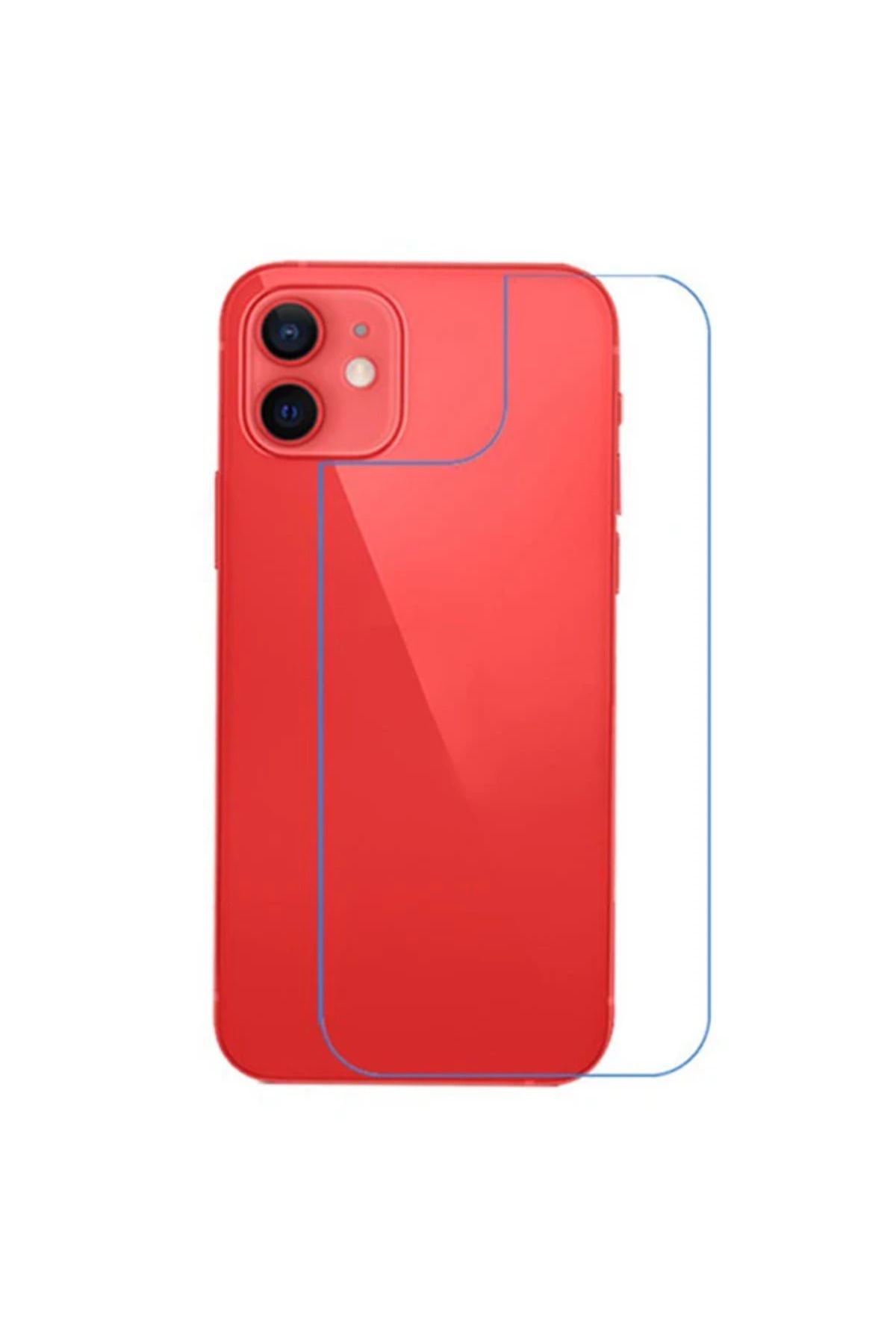 LaCend Ally İPhone 12 Mini 5.4 İnch Tempered Arka Kırılmaz Cam Koruyucu-(5775) - LC8903-6778