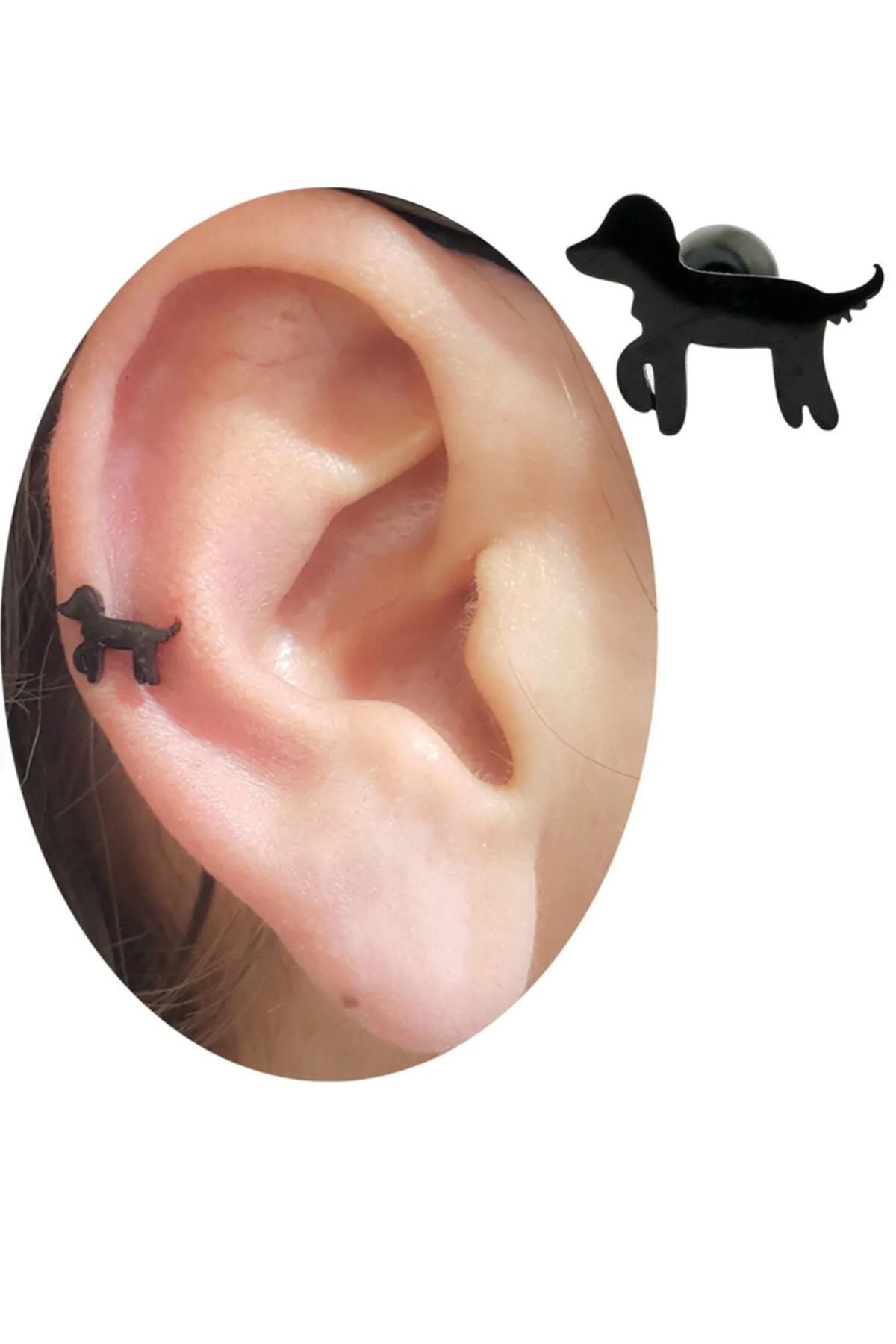 Cadının Dükkanı Çelik Köpek Siyah Tragus Helix Kıkırdak Piercing