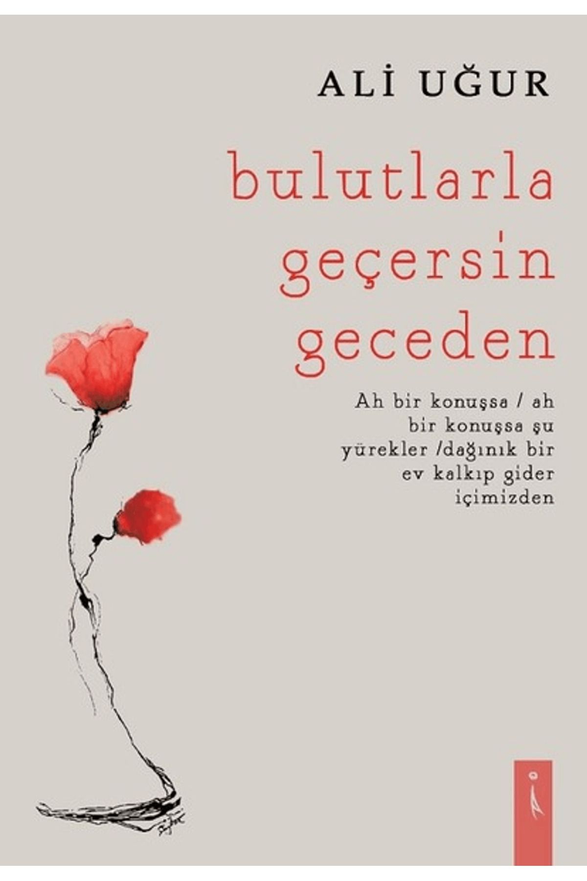 İkinci Adam Yayınları Bulutlarla Geçersin Geceden
