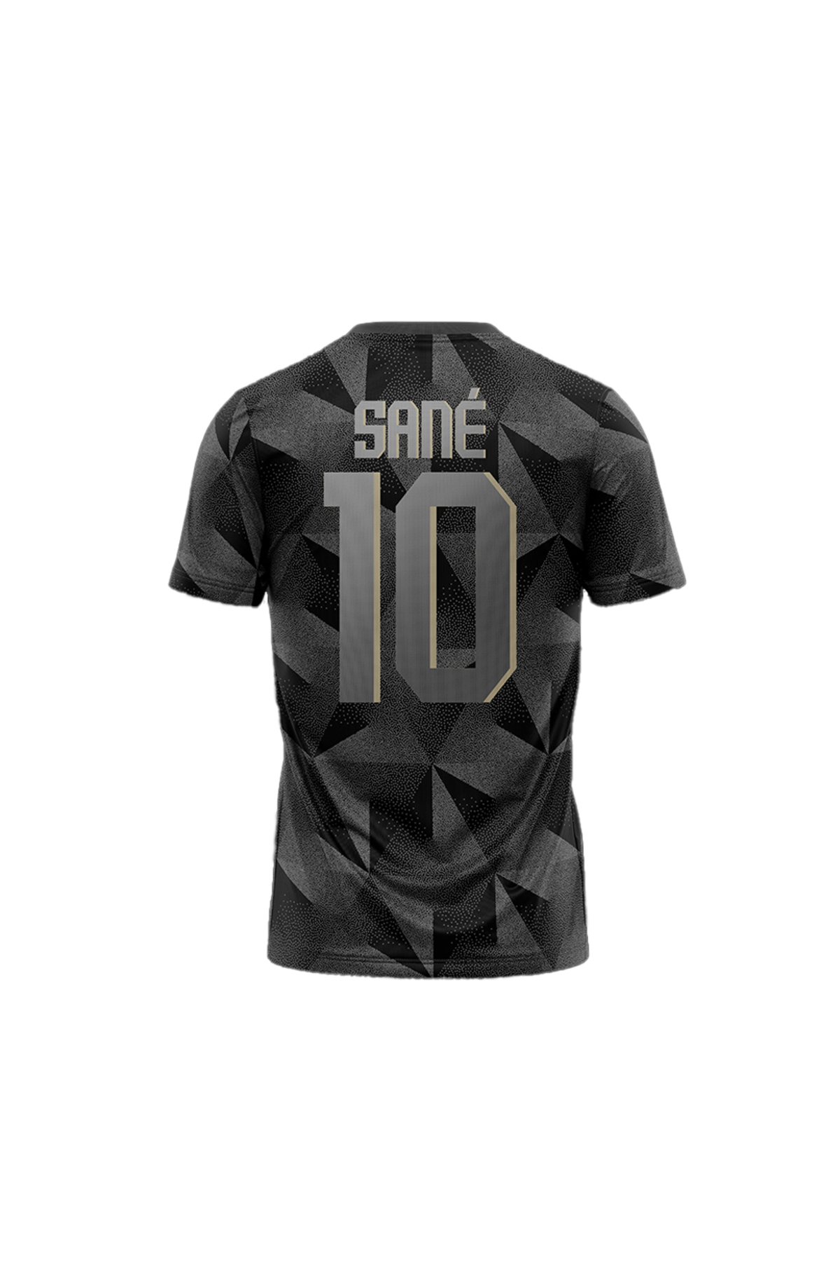 Galatasaray  Galatasaray Leroy Sane Design FC T-Shirt E251497 - Görsel 2