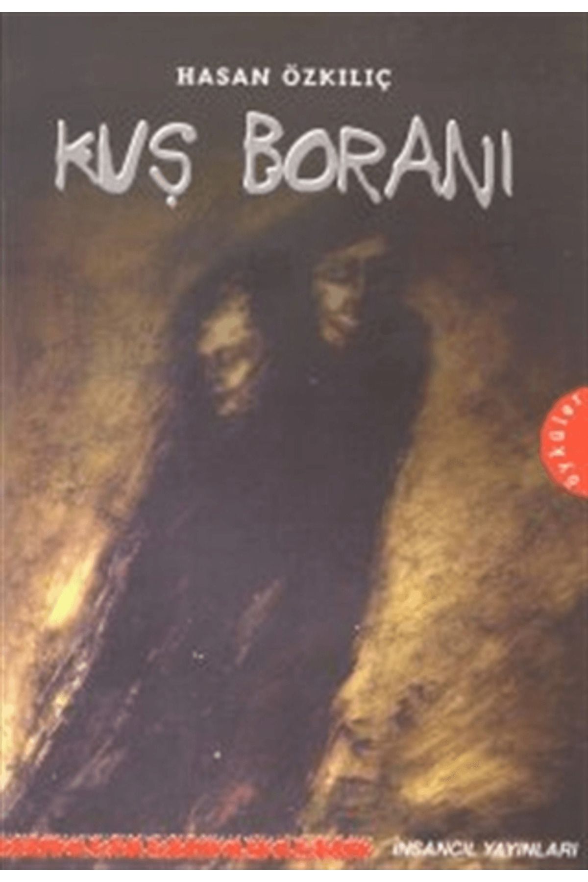 İnsancıl Yayınları Kuş Boranı