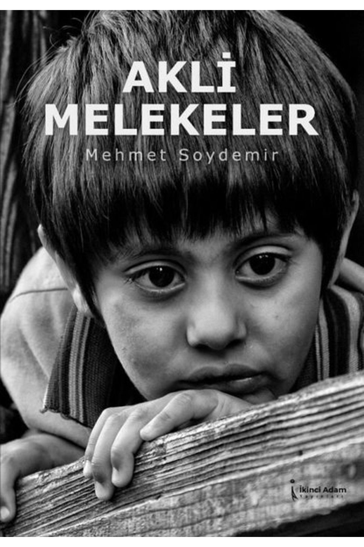 İkinci Adam Yayınları Akli Melekeler