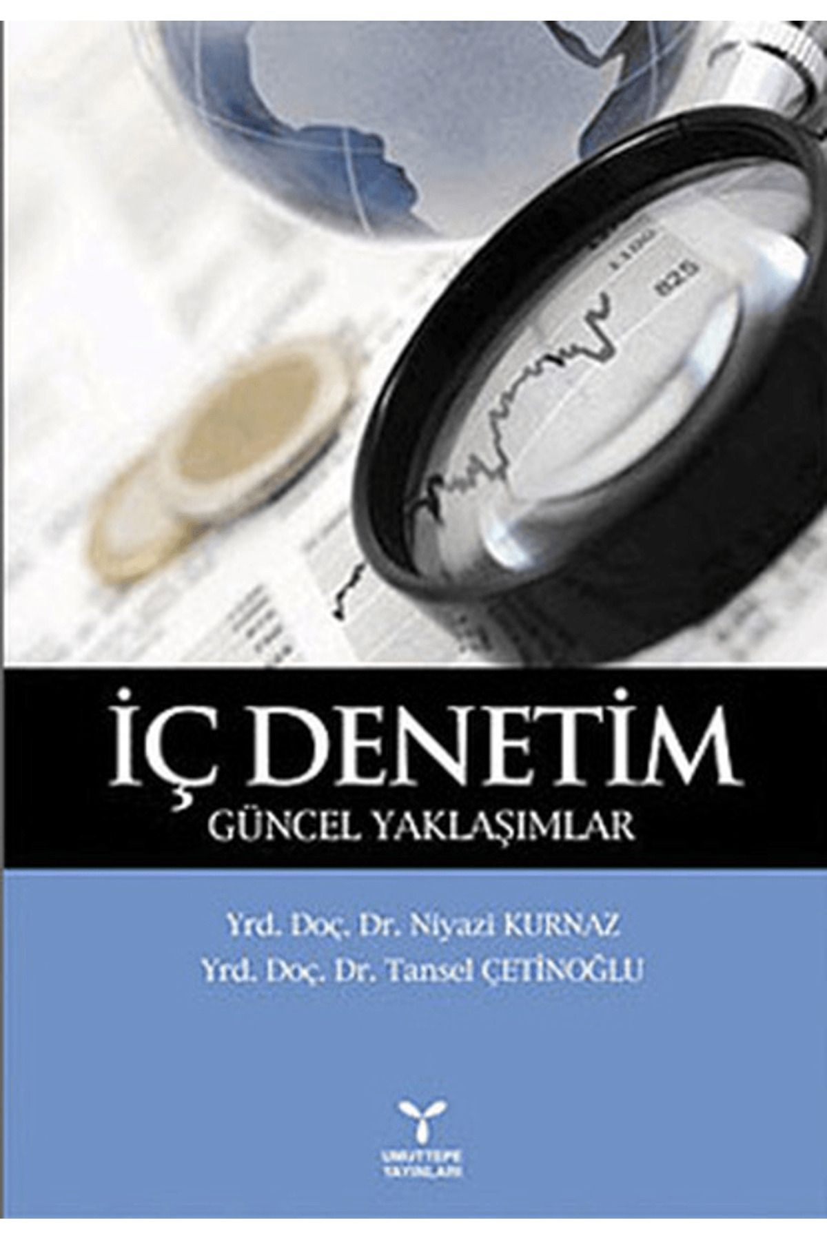 Umuttepe Yayınları İç Denetim