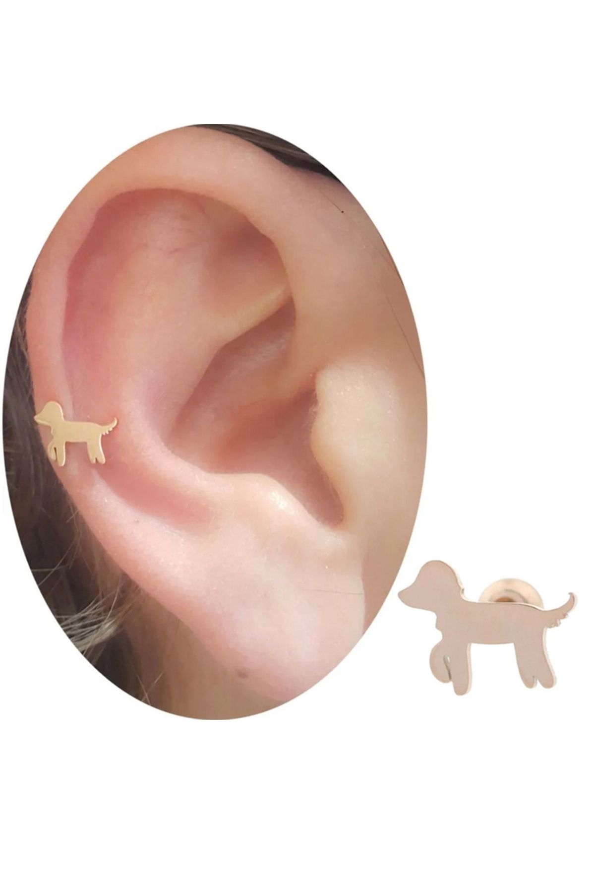 Cadının Dükkanı Çelik Köpek Rose Tragus Helix Kıkırdak Piercing