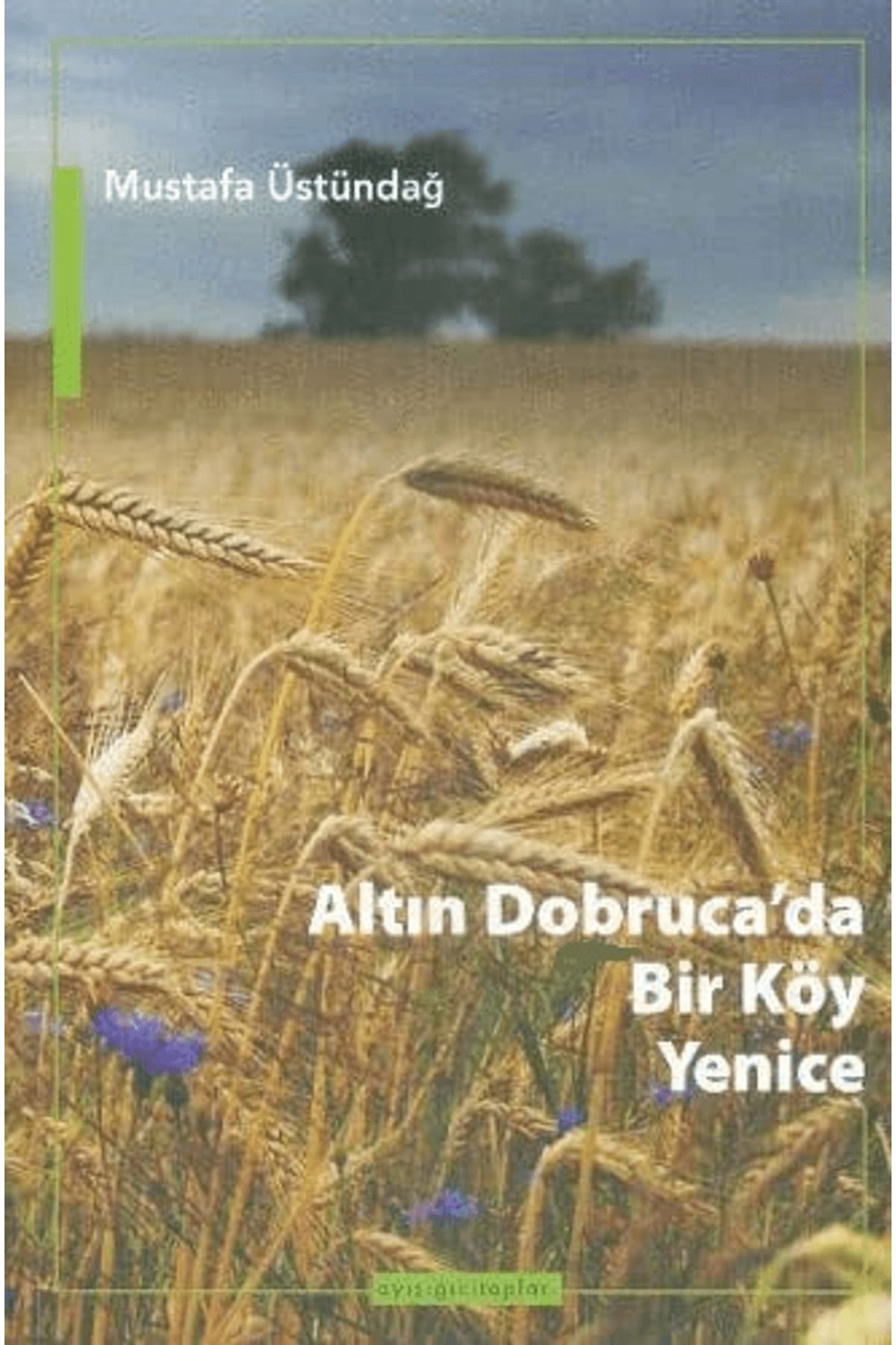 Ayışığı Kitapları Altın Dobruca’da Bir Köy: Yenice
