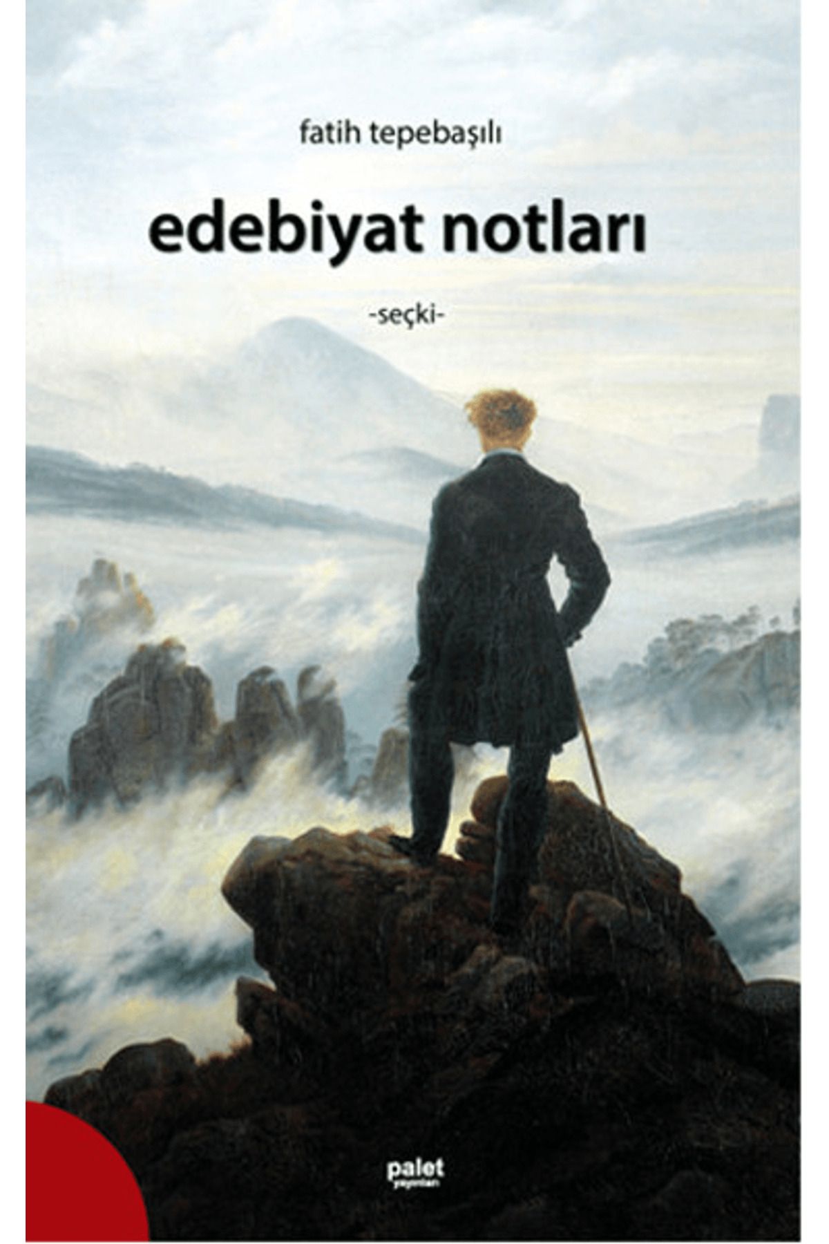 Palet Yayınları Edebiyat Notları