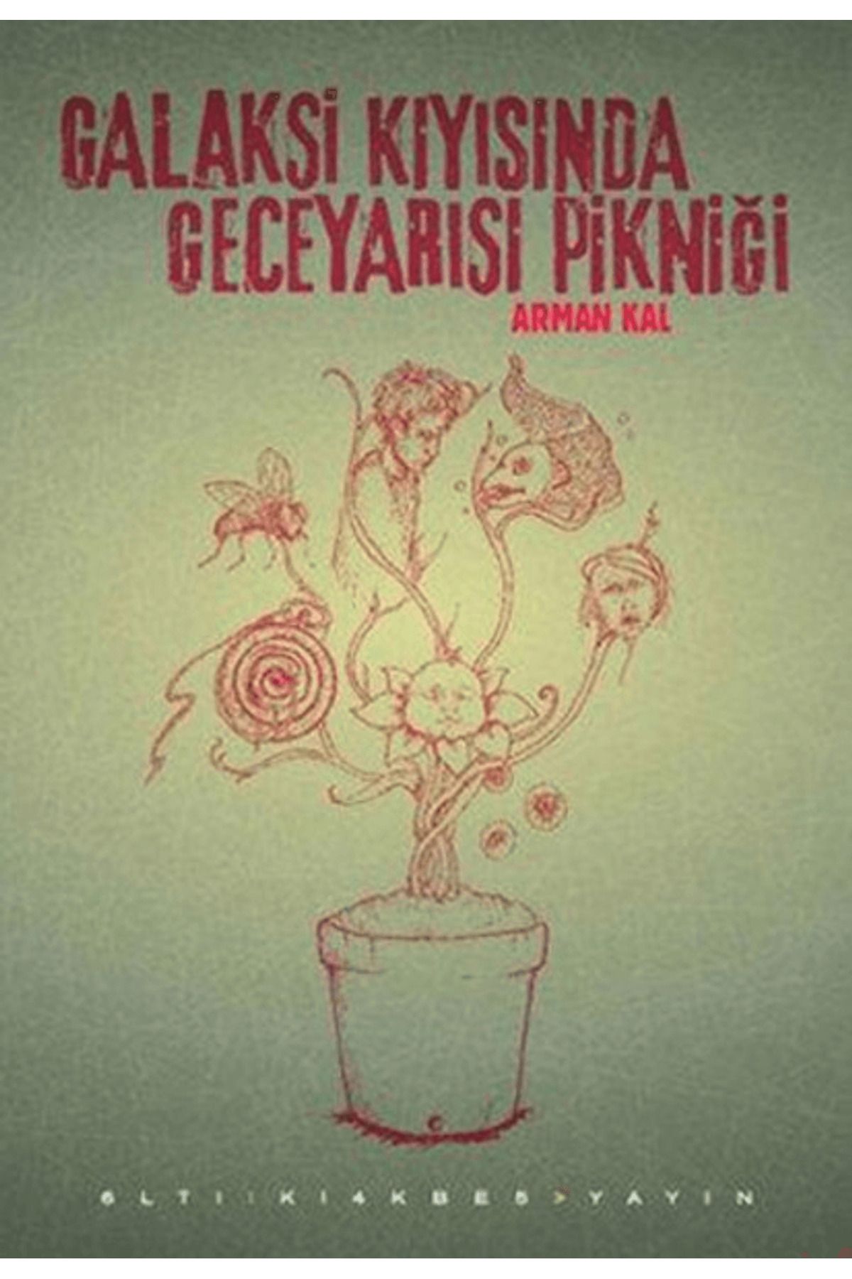 Altıkırkbeş Yayınları Galaksi Kıyısında Geceyarısı Pikniği