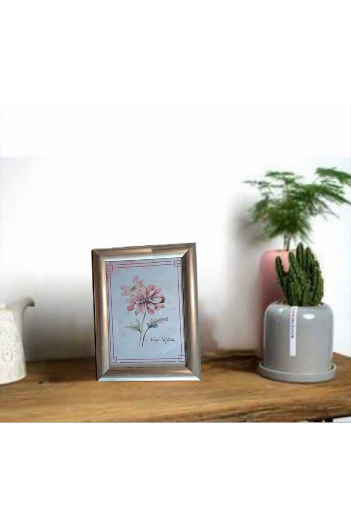 NEXT TOPTAN 10cmX15cm resim fotoğraf evrak poster çerçevesi