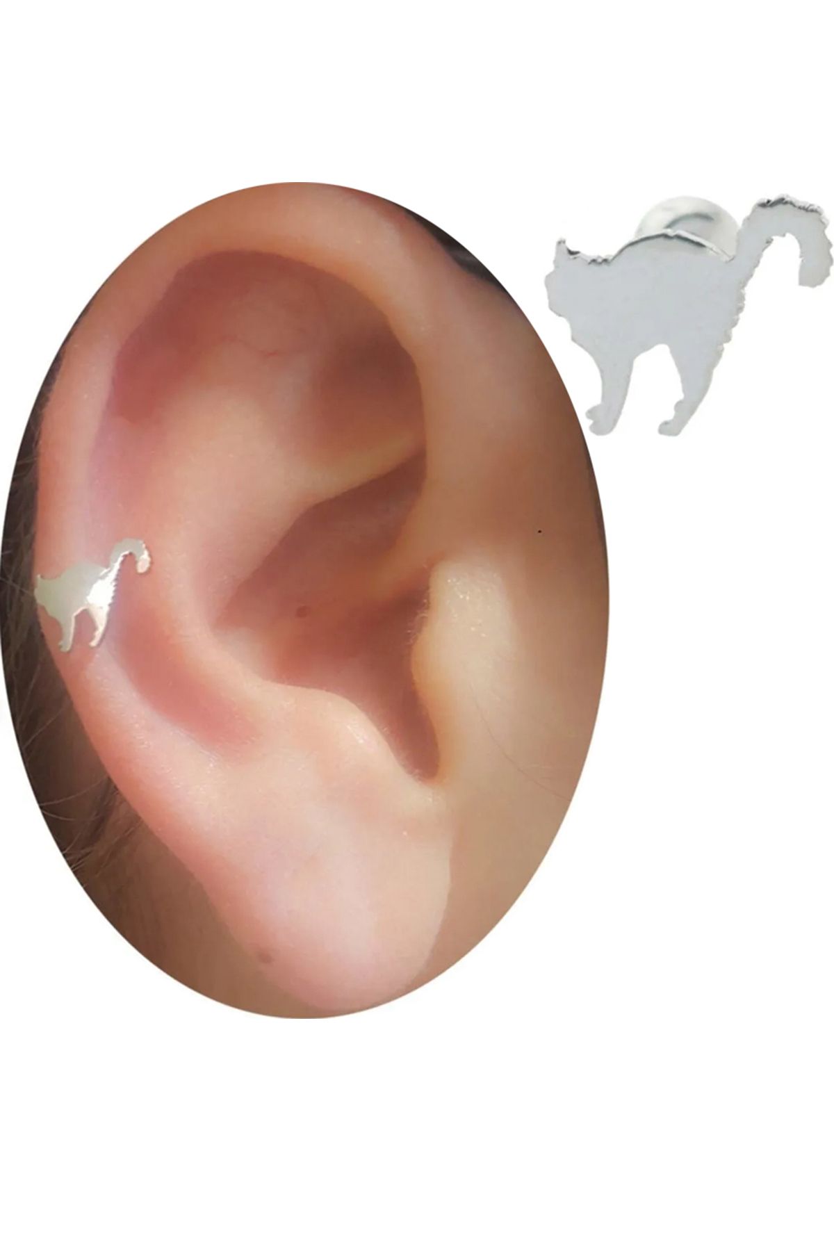Cadının Dükkanı Çelik Kedi Tragus Helix Kıkırdak Piercing