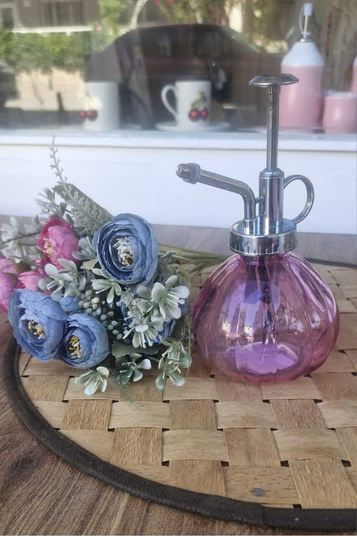 Home Cam Sıvıyağ Pompası