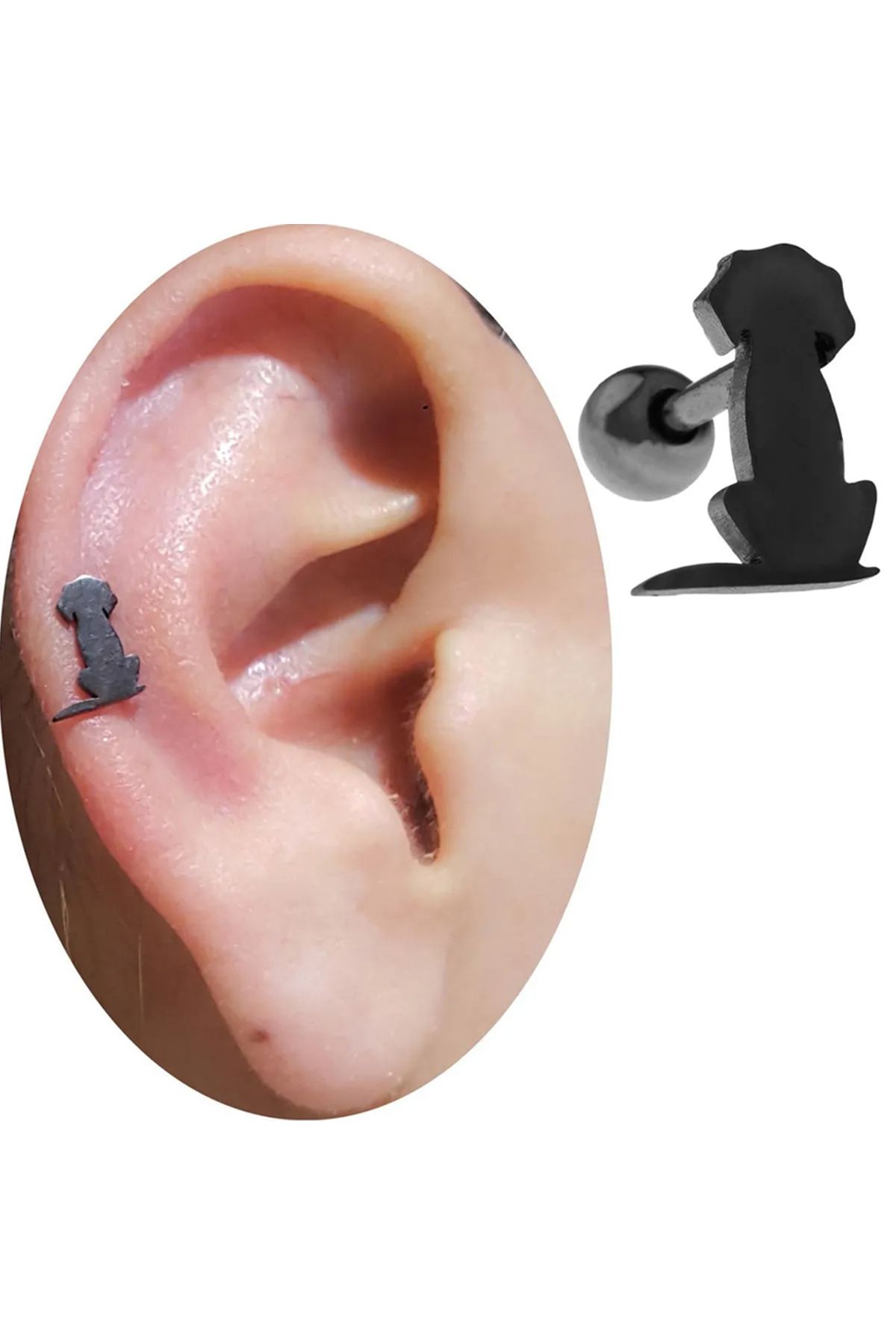 Cadının Dükkanı Çelik Köpek Siyah Tragus Helix Kıkırdak Piercing