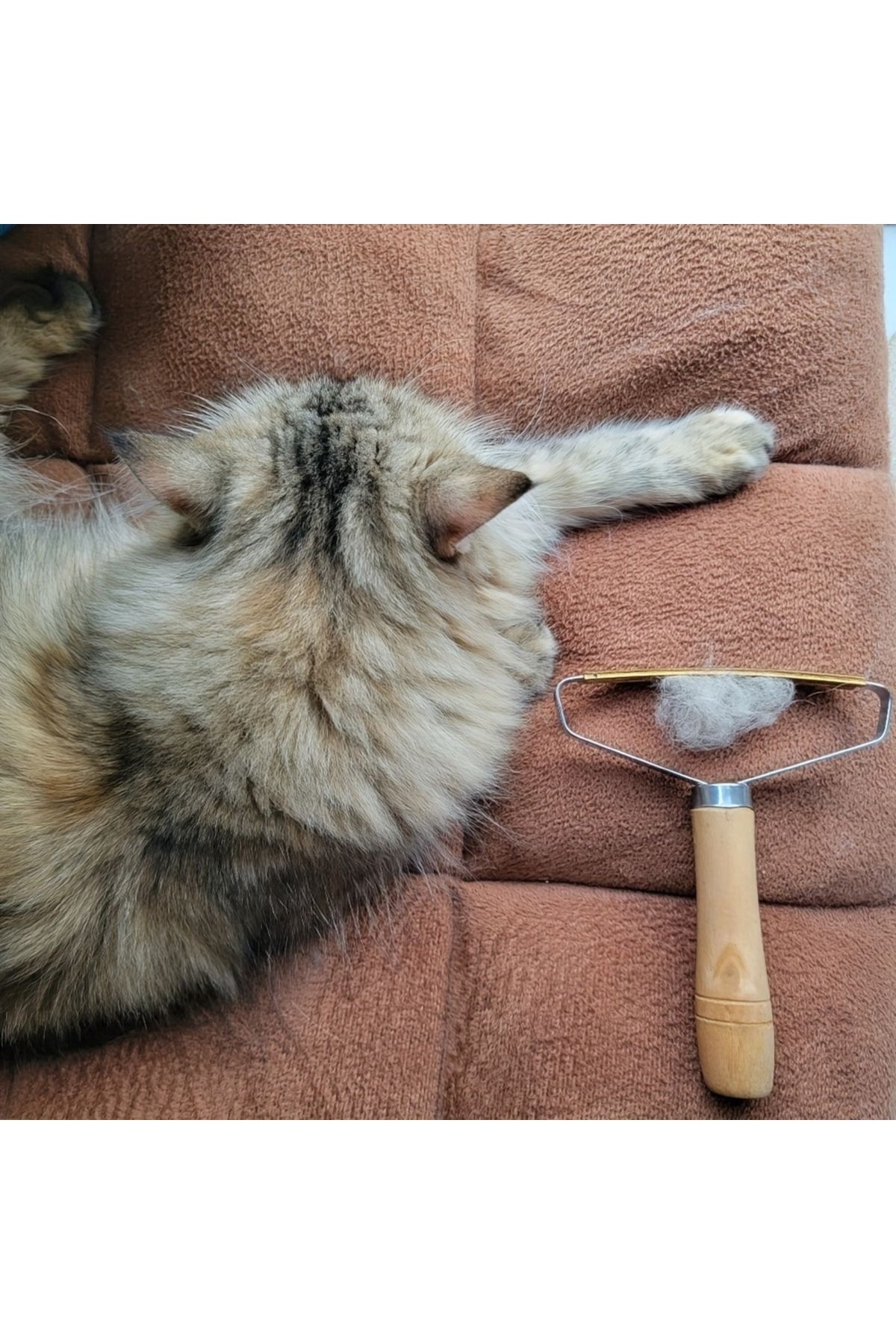 Store Kedi Köpek Tüy Toplama Yün Kazak Tüy Toplama Ahşap Saplı Tiftik Temizleyici