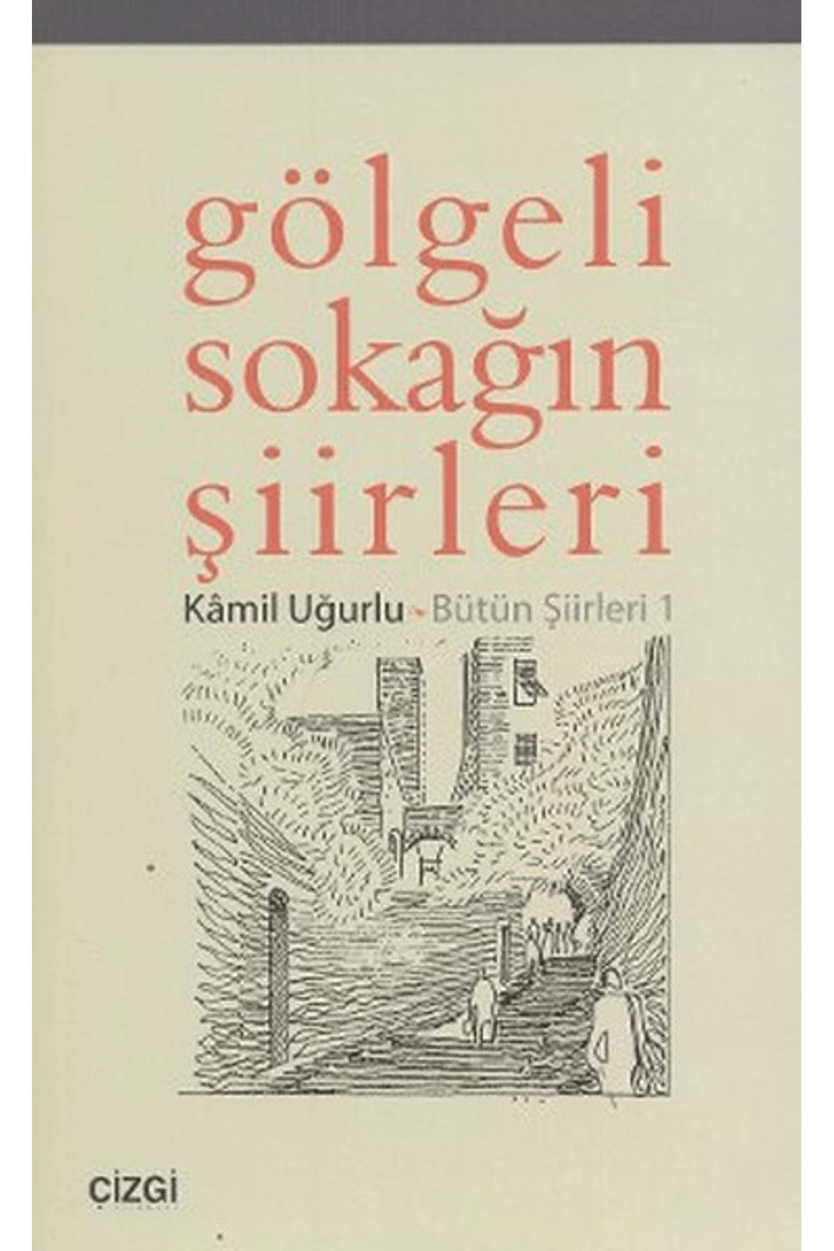 Çizgi Kitabevi Yayınları Gölgeli Sokağın Şiirleri
