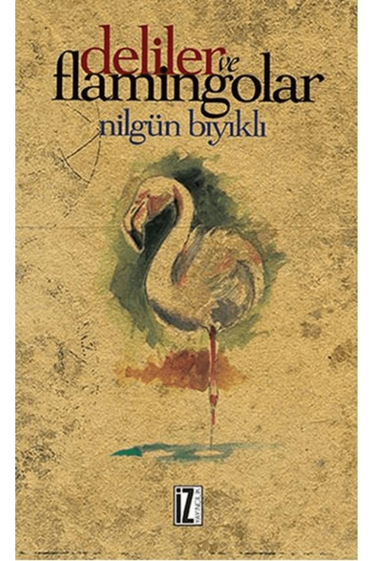 İz Yayıncılık Deliler ve Flamingolar