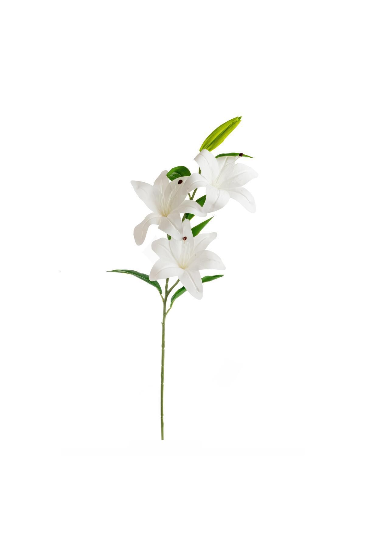 Elioure Beyaz Kazablanka Dalı, 100 cm, Renkli, Zarif ve Şık Dekoratif Bitki.