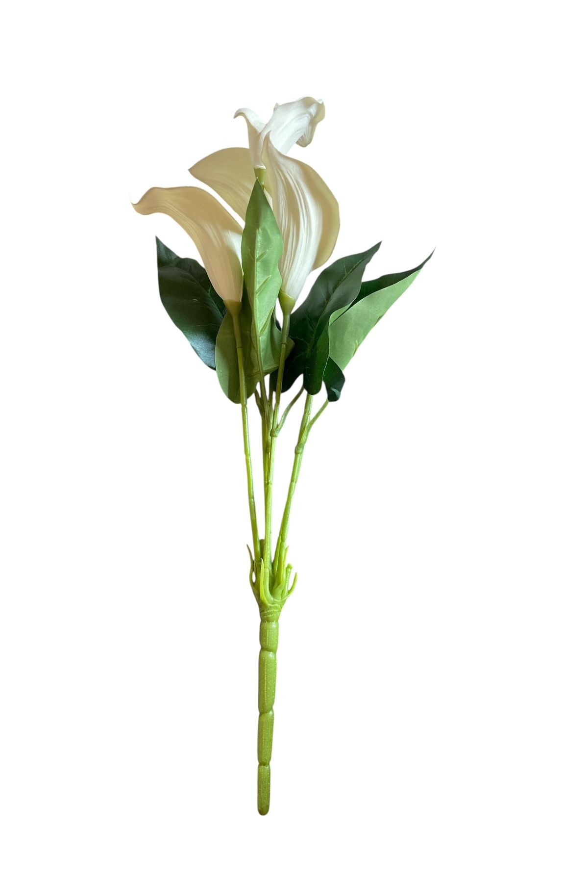 Addesing Adara diadem yapay lale